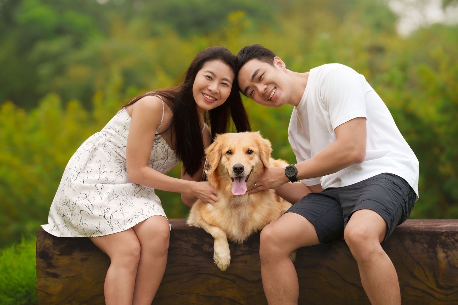 A smiling Asian couple sits outdoors on a log with their happy Golden Retriever in a green park.