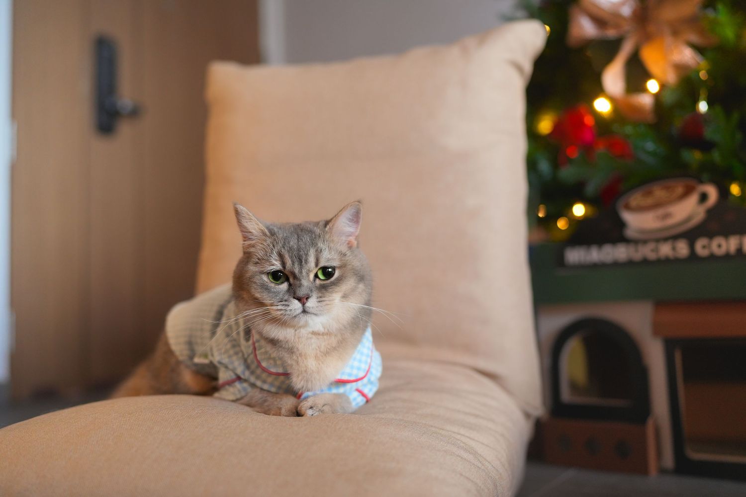 A gray tabby cat wearing a festive collar rests on a beige chair beside a decorated Christmas tree.