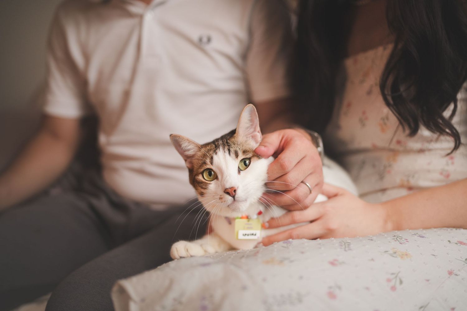 A couple gently petting their tabby cat on a floral bed.