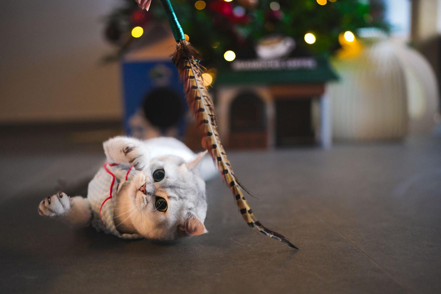 A playful white kitten rolls on its back batting at a feather wand toy near a decorated Christmas tree.
