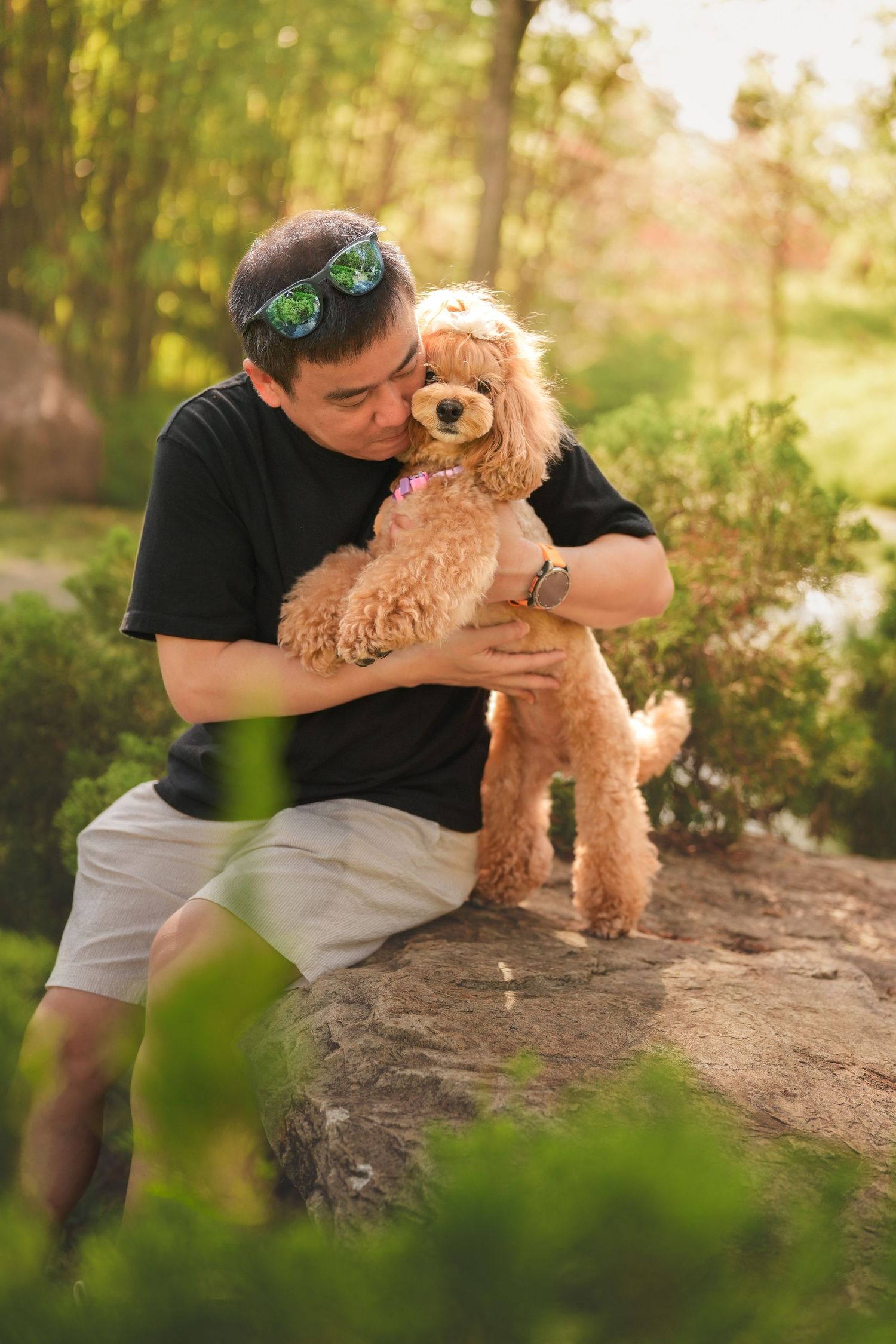 Asian man hugging and kissing his apricot poodle dog while sitting on a rock in a park.