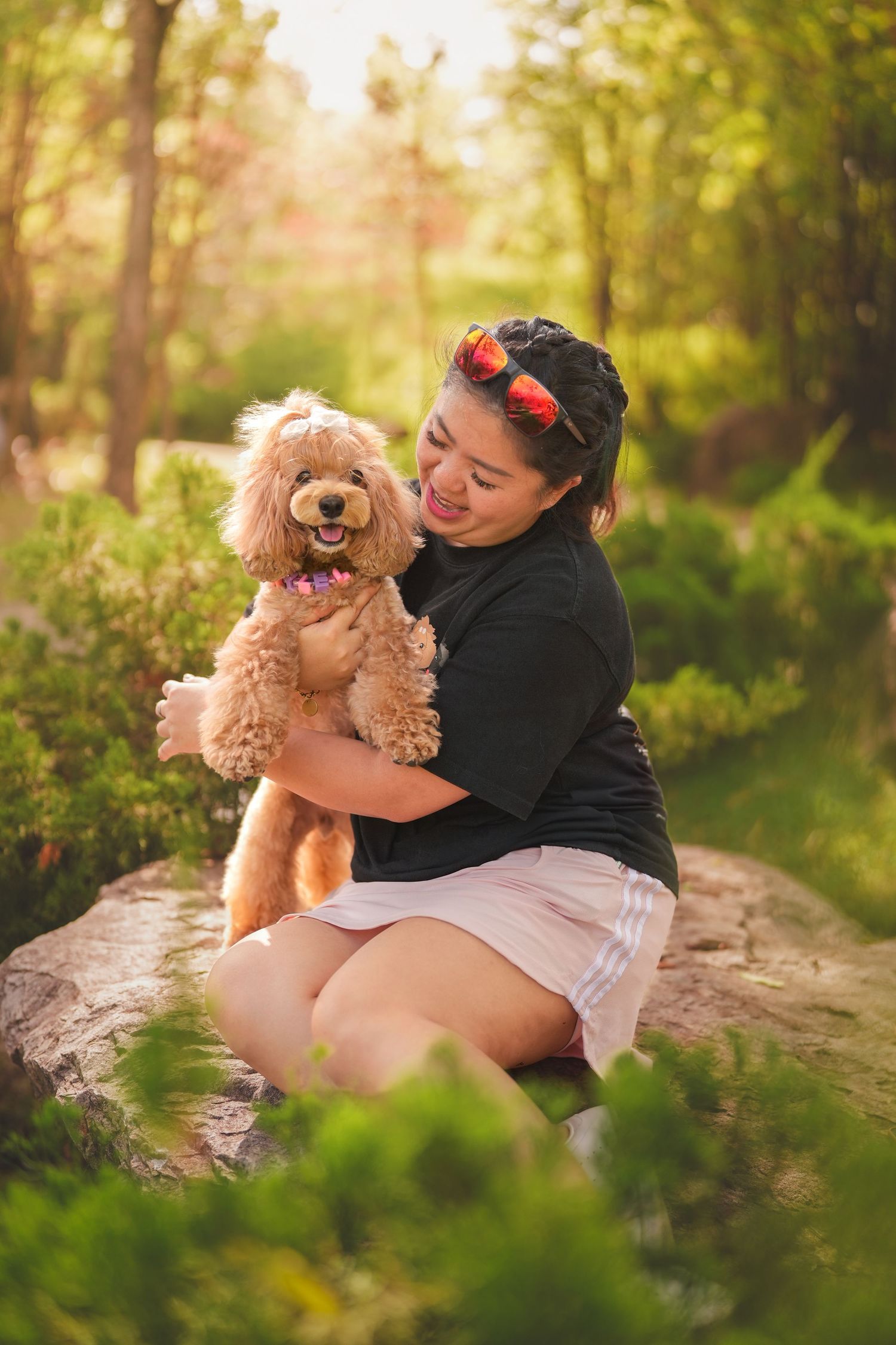 A smiling woman sits on a rock in a sunny park, lovingly holding an apricot poodle dog in her arms.