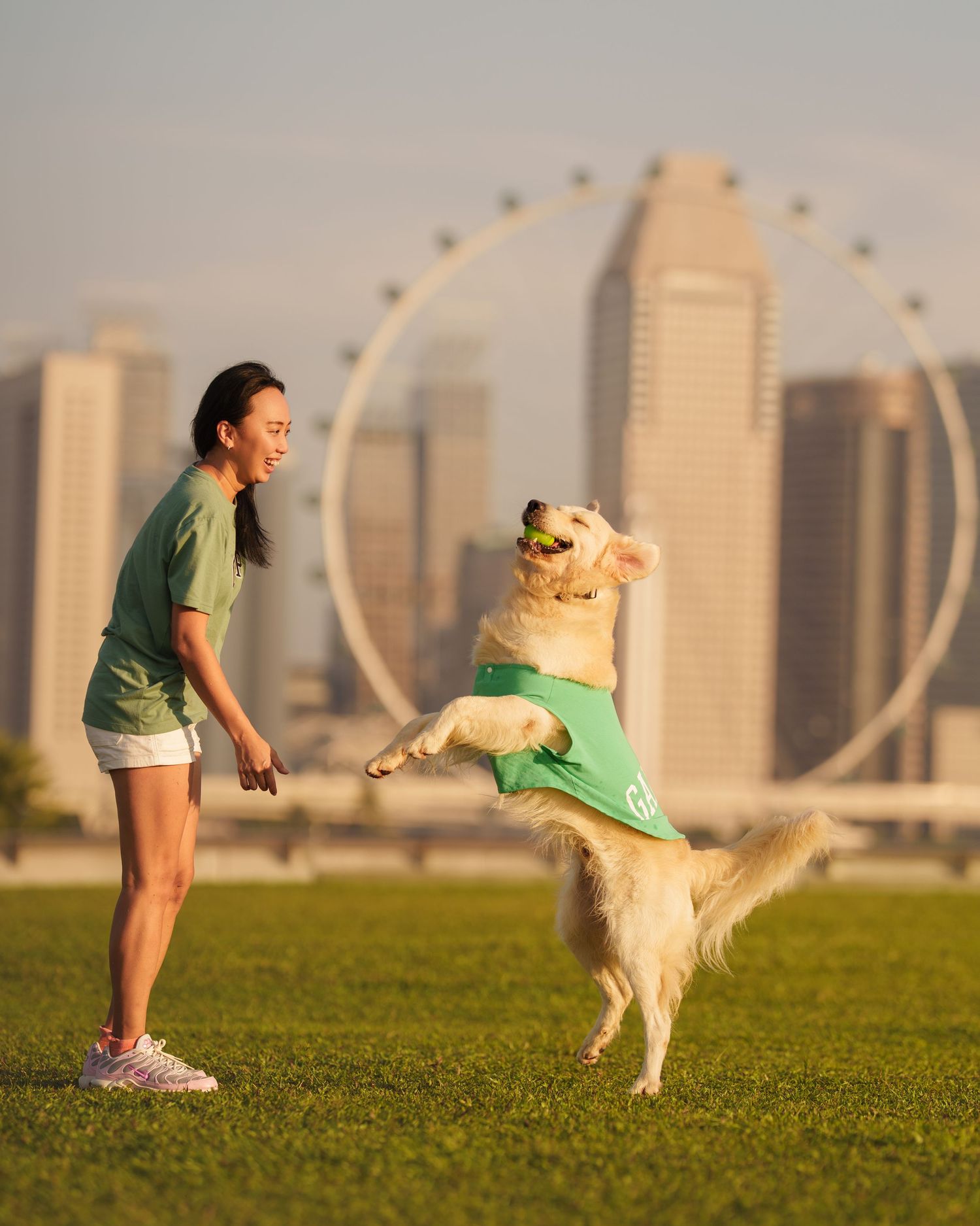 Woman in green shirt playing with golden retriever wearing bandana, Singapore Flyer ferris wheel skyline background.