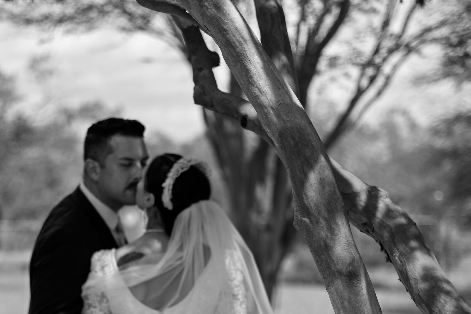 Black and white photo of bride and groom sharing a kiss under a tree at their wedding.
