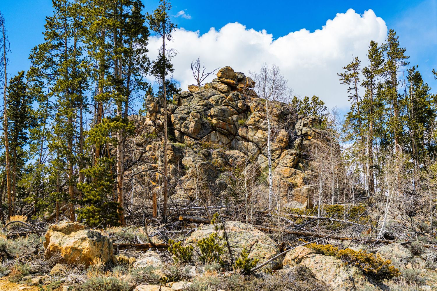 Rocky outcropping surrounded by pine trees under a blue sky with white clouds in a scenic wilderness landscape.