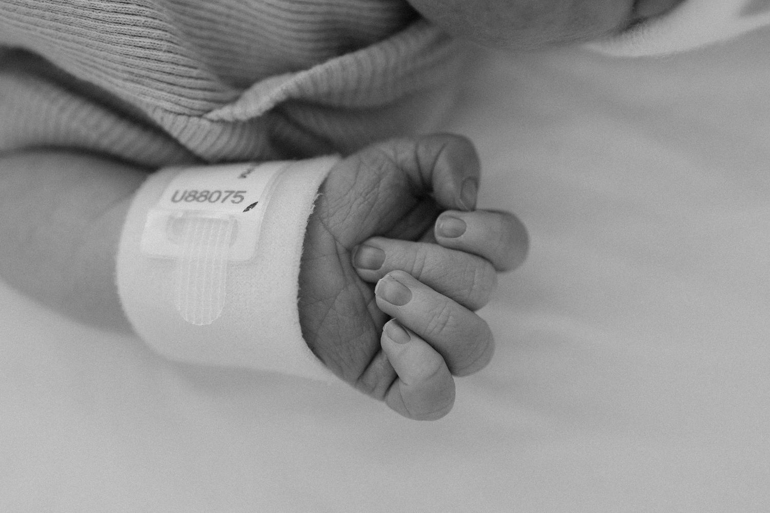 newborn hands