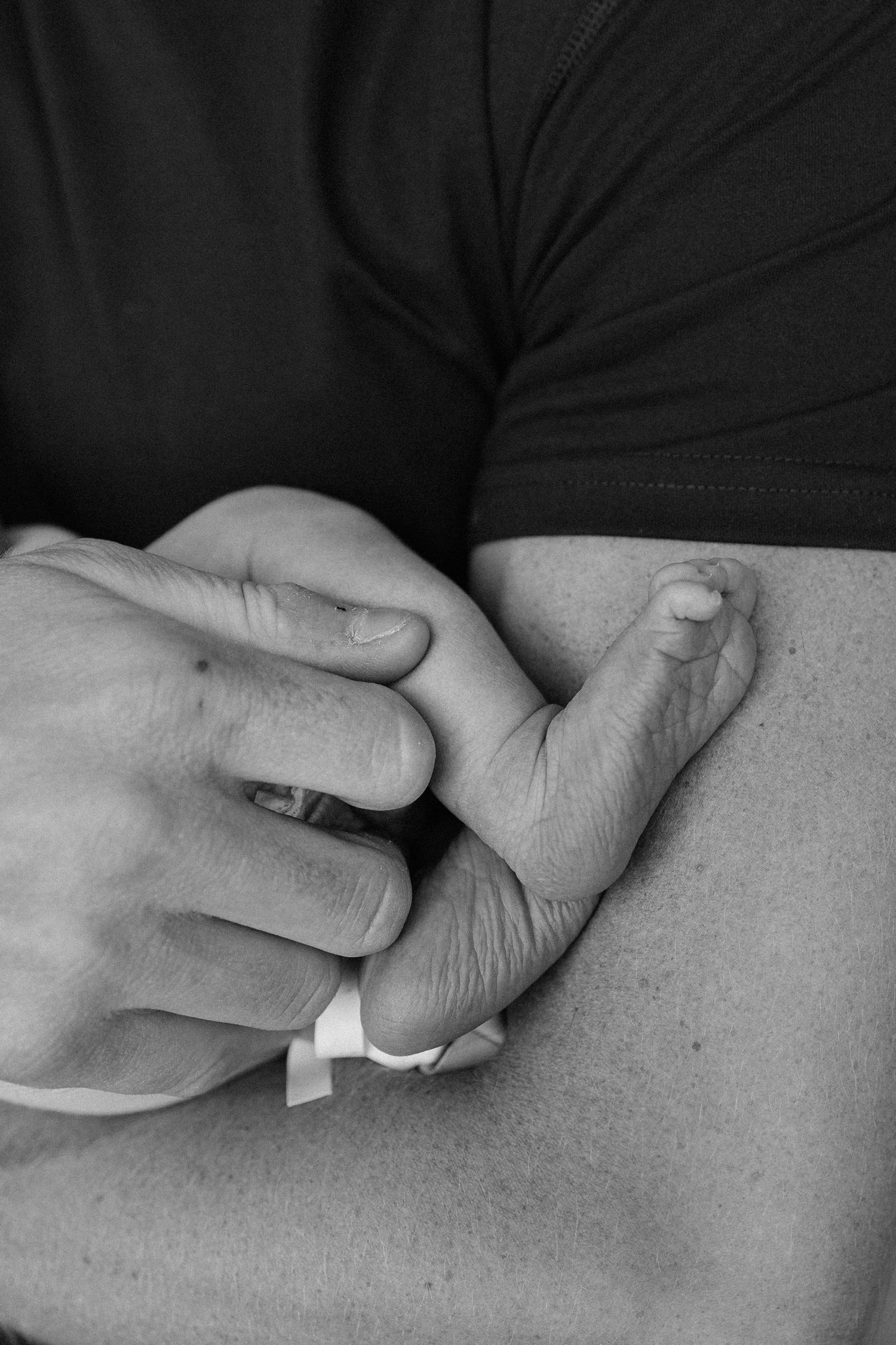tiny feet in dads arms Fort Myers Florida