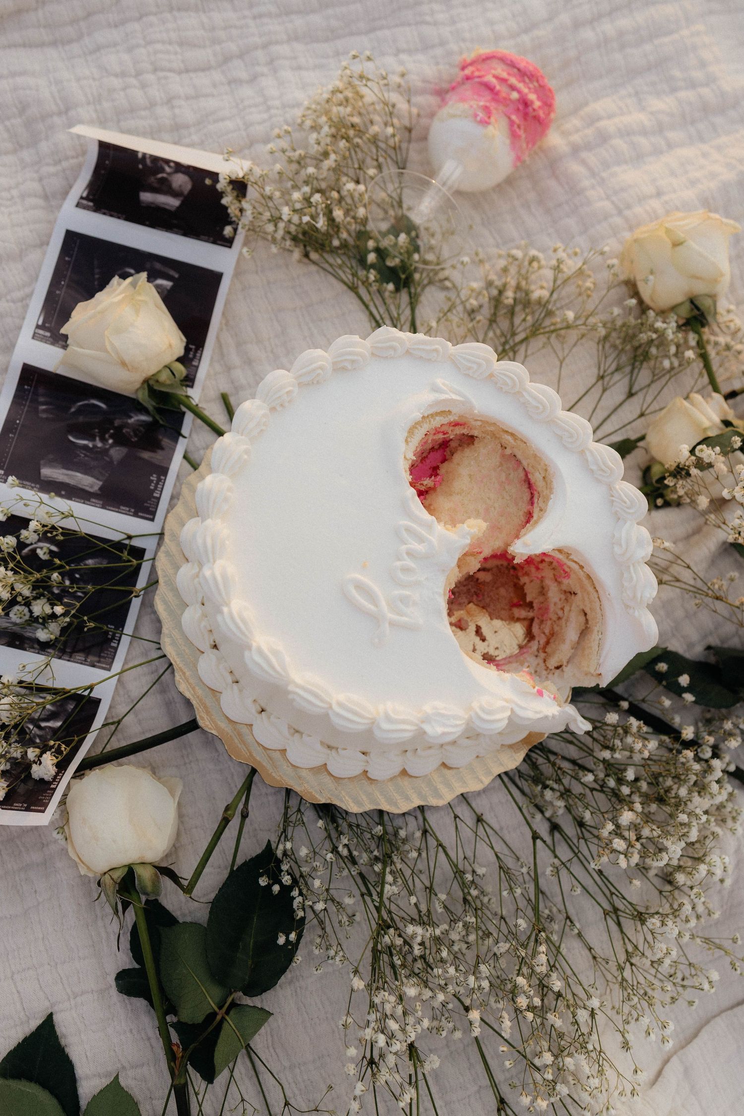 cake cut gender reveal southwest Florida