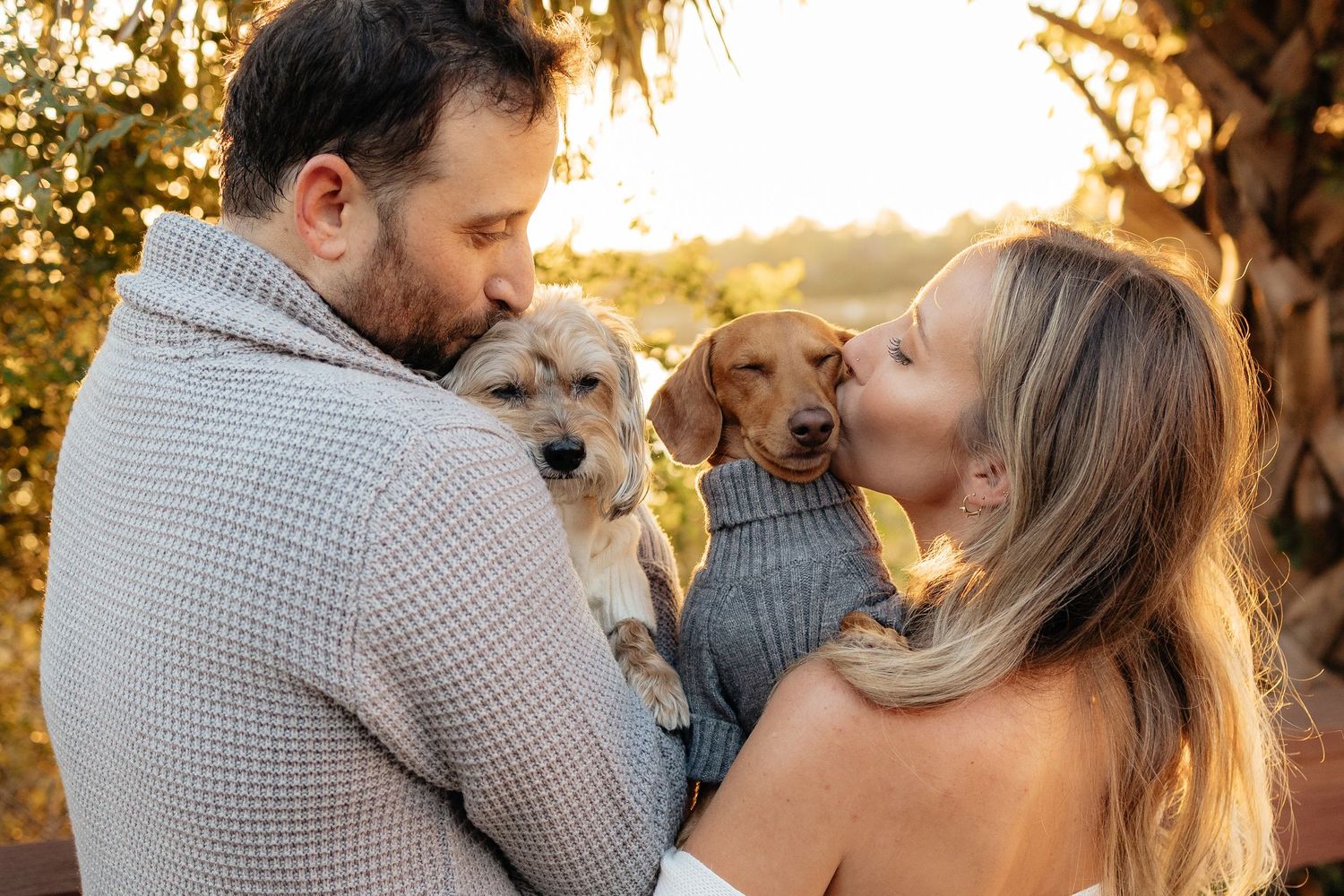 Christmas picture with dog at naples park photography
