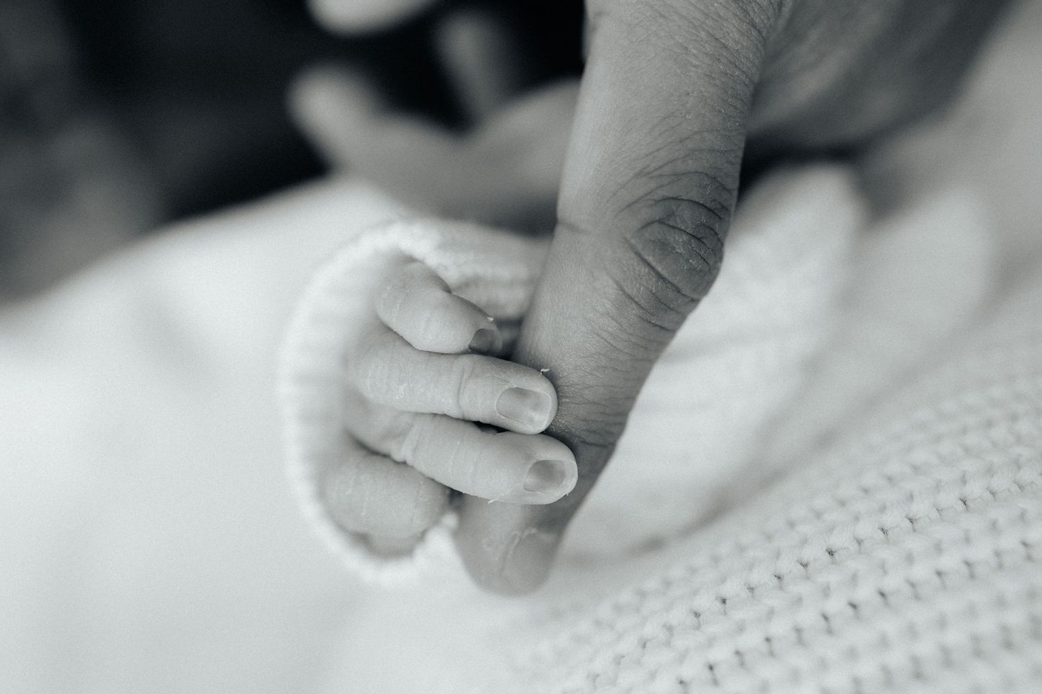 newborn fingers Fort Myers Florida newborn photography