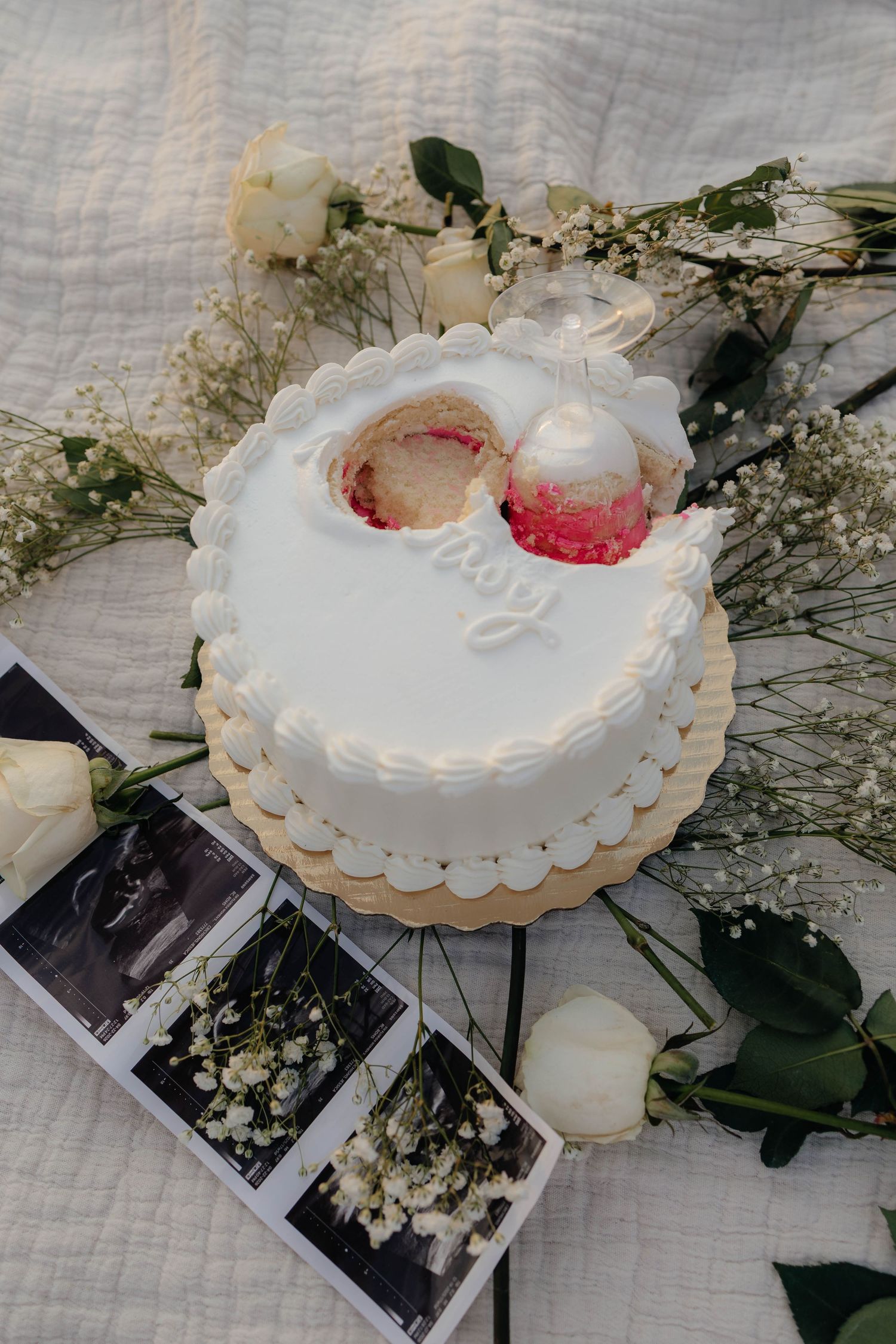 cake cut gender reveal southwest Florida