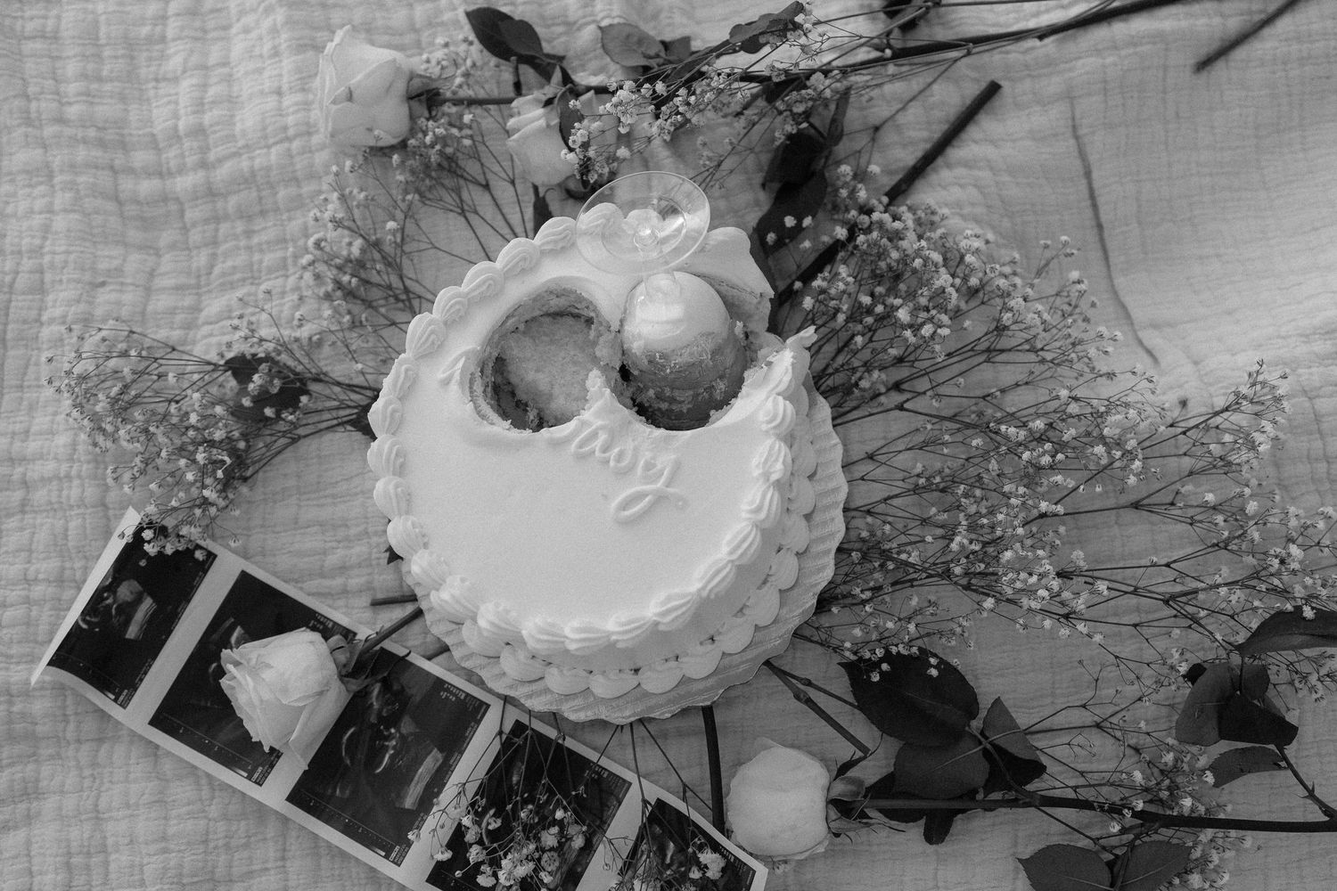 cake cut gender reveal southwest Florida