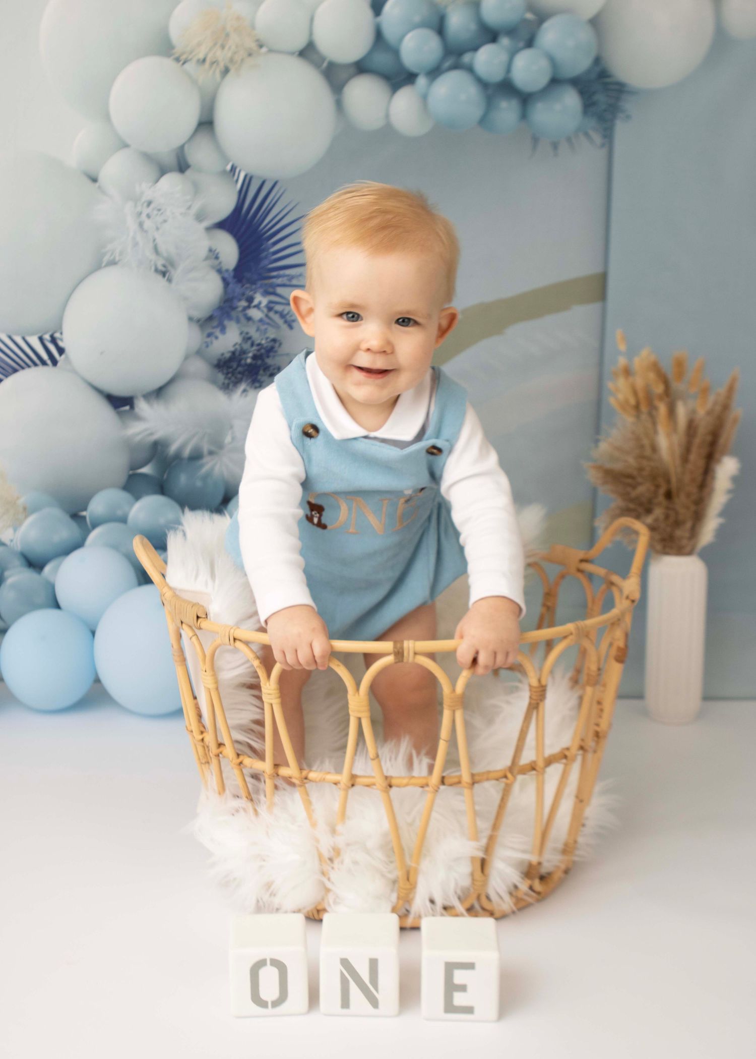 Fairview Photography - First BIrthday