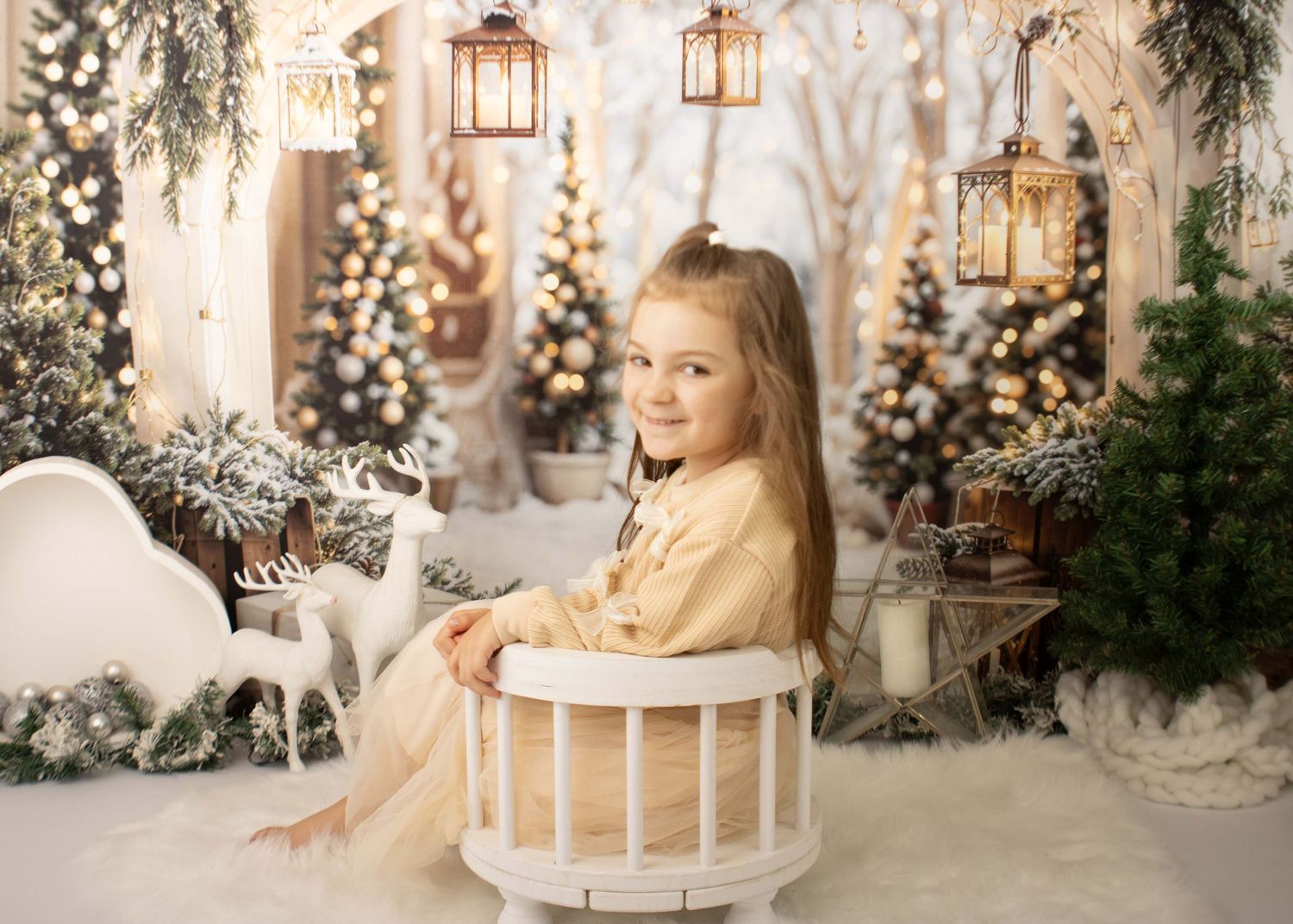 Fairview Photography -  Christmas