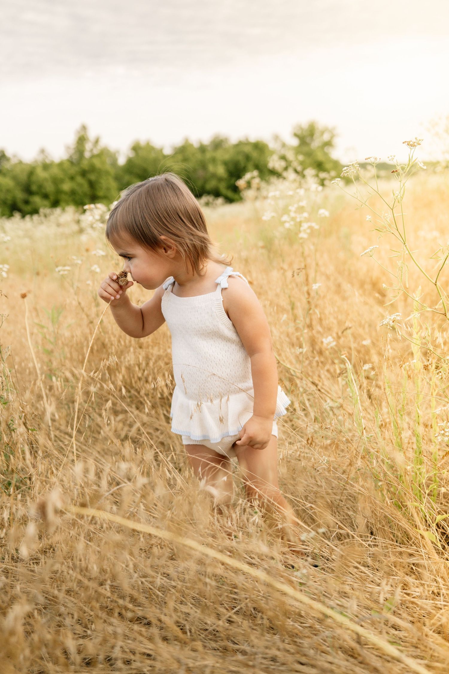 Toddler girl in white romper standing in golden field with wildflowers, enjoying nature on a sunny day.