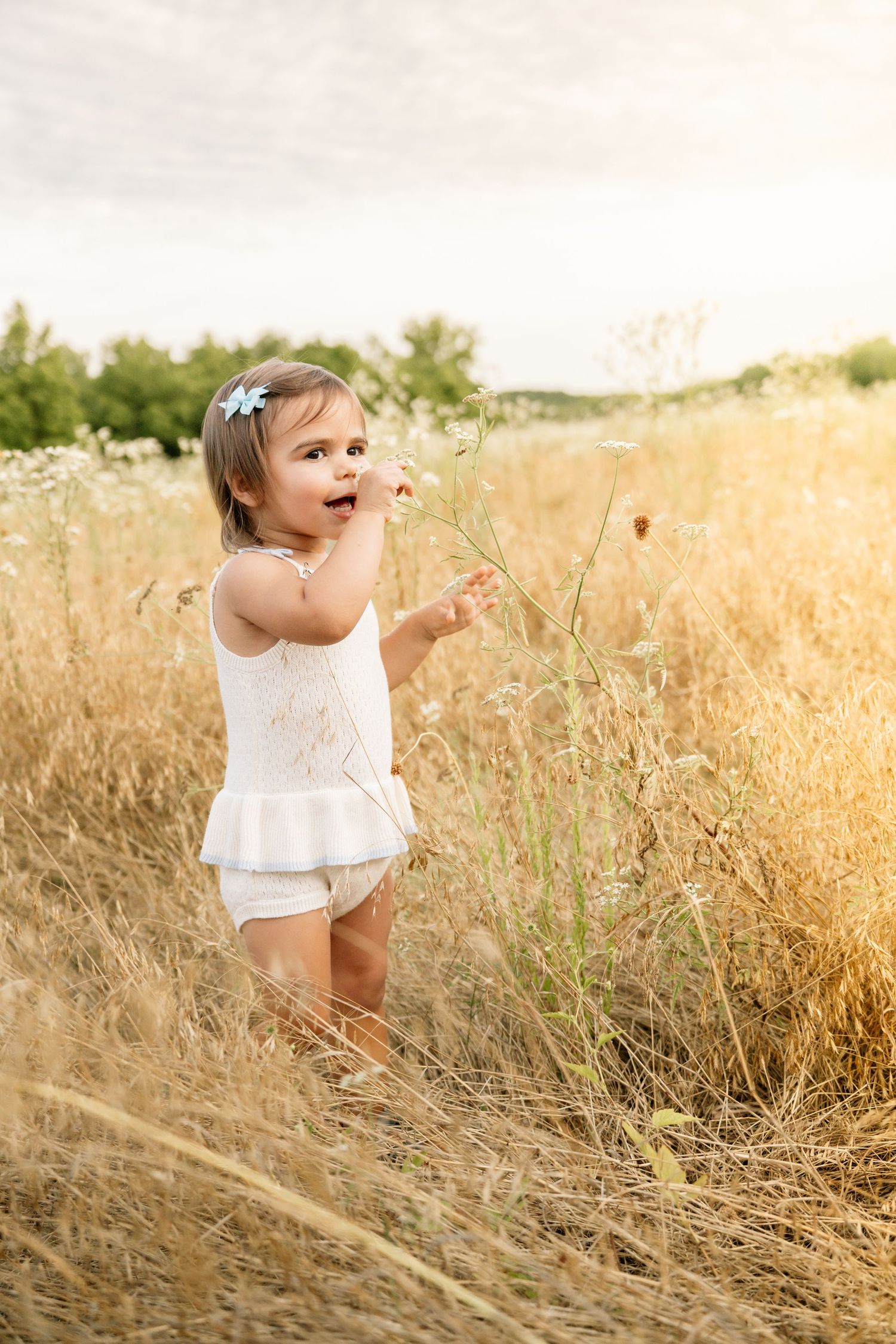 Adorable toddler girl in white outfit standing in tall golden grass field at sunset.
