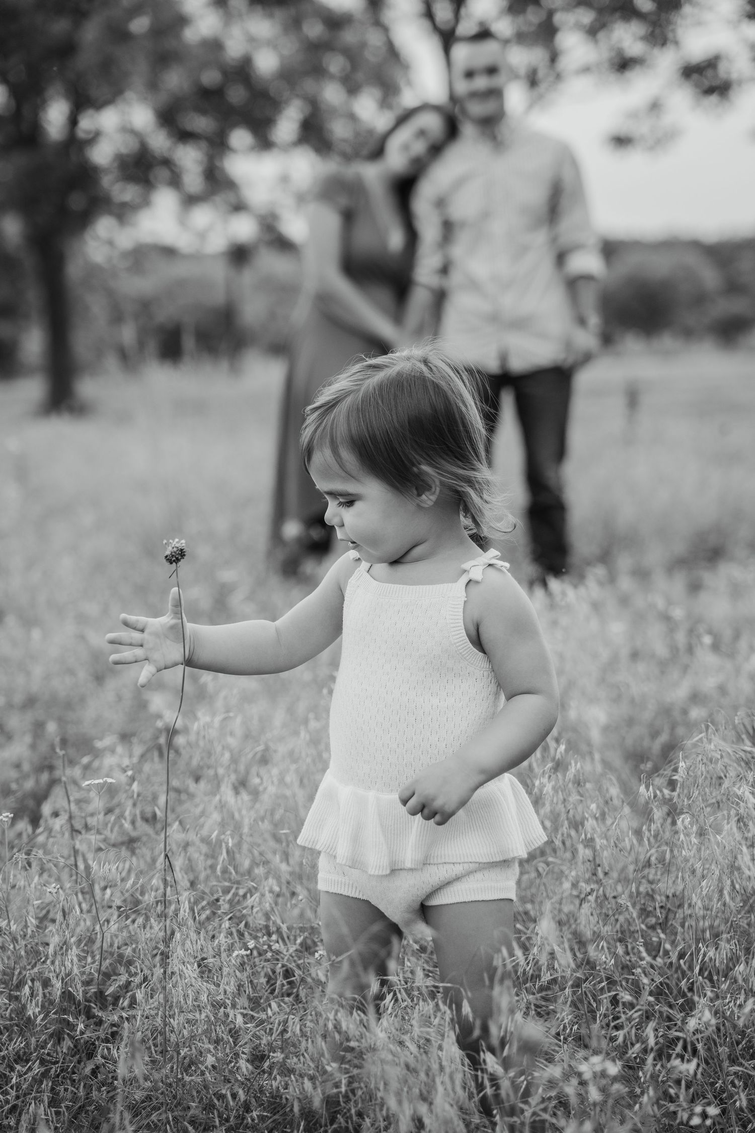Black and white photo of a toddler girl holding a wildflower in a field with her parents smiling in the background.