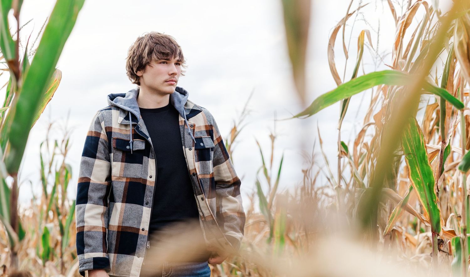 Young man in plaid flannel shirt standing among tall dried corn stalks in an autumn field.
