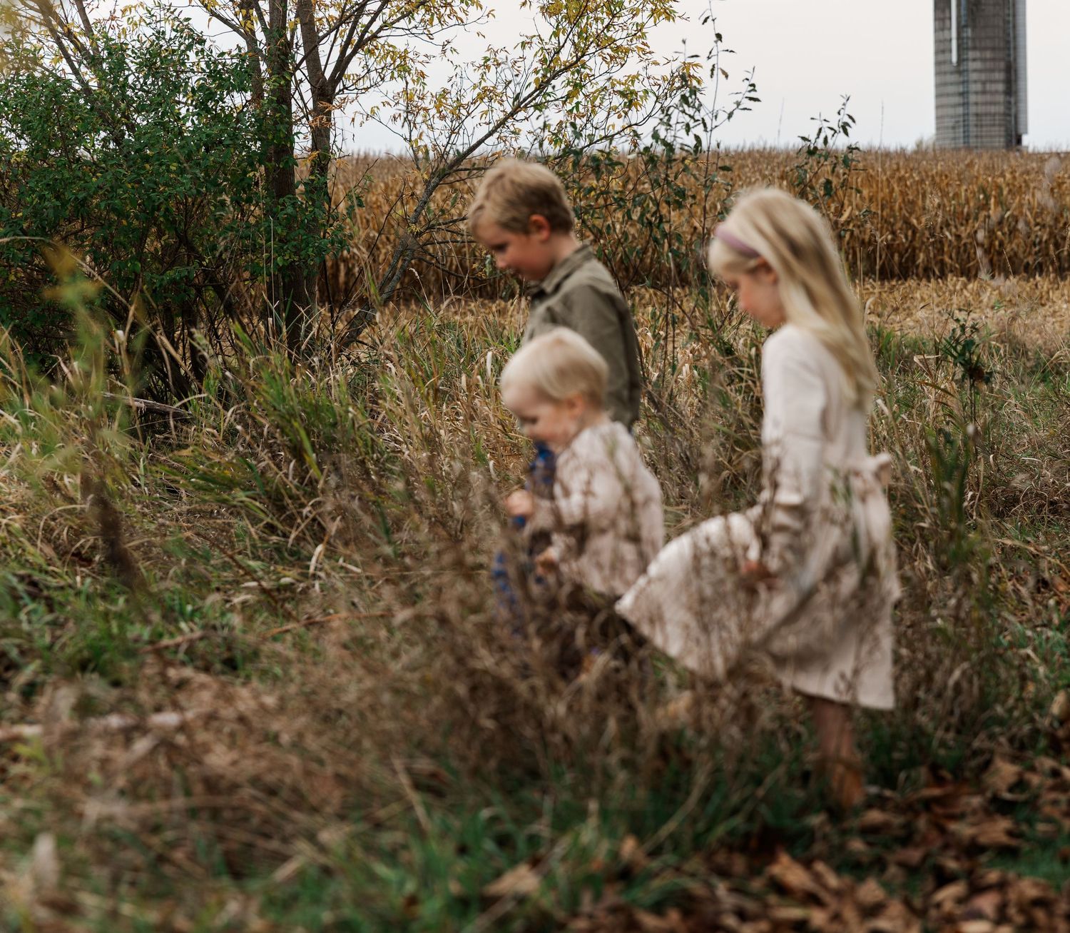 Three young children explore tall grass and autumn foliage near a farm silo in fall.