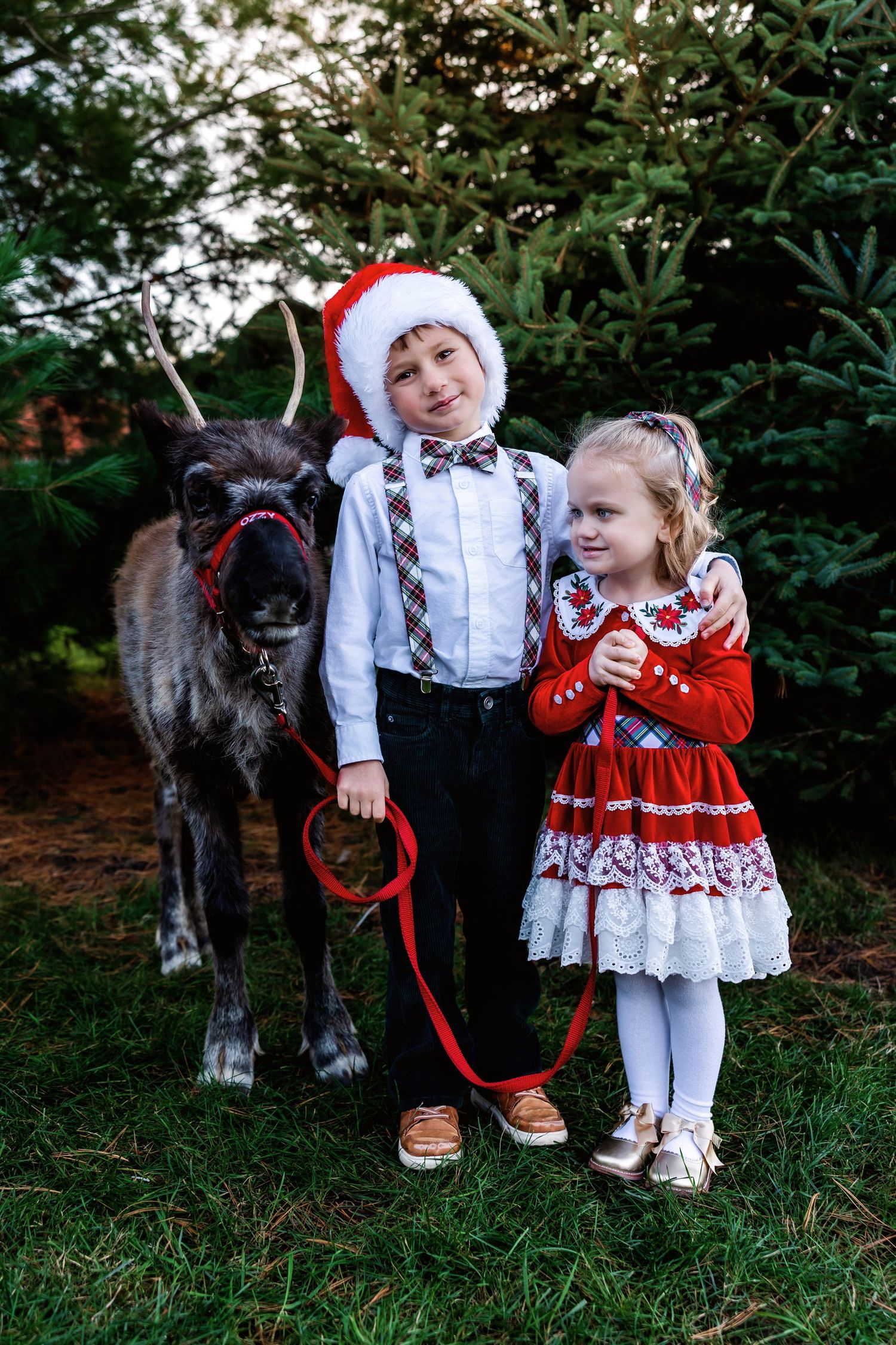 Two children in holiday outfits pose with a reindeer on a leash among evergreen trees outdoors.