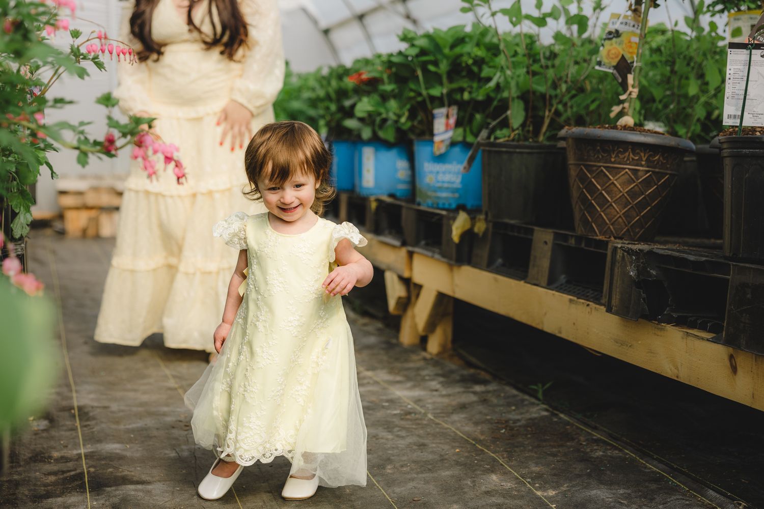 Toddler girl in yellow tulle dress walks through a greenhouse with potted plants and flowers.