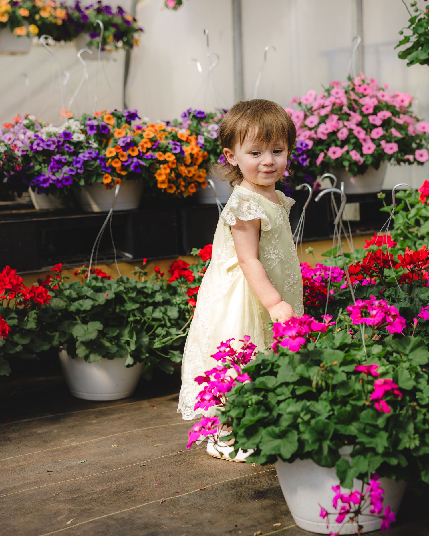 A toddler girl in a yellow dress smiles among colorful potted flowers in a greenhouse.