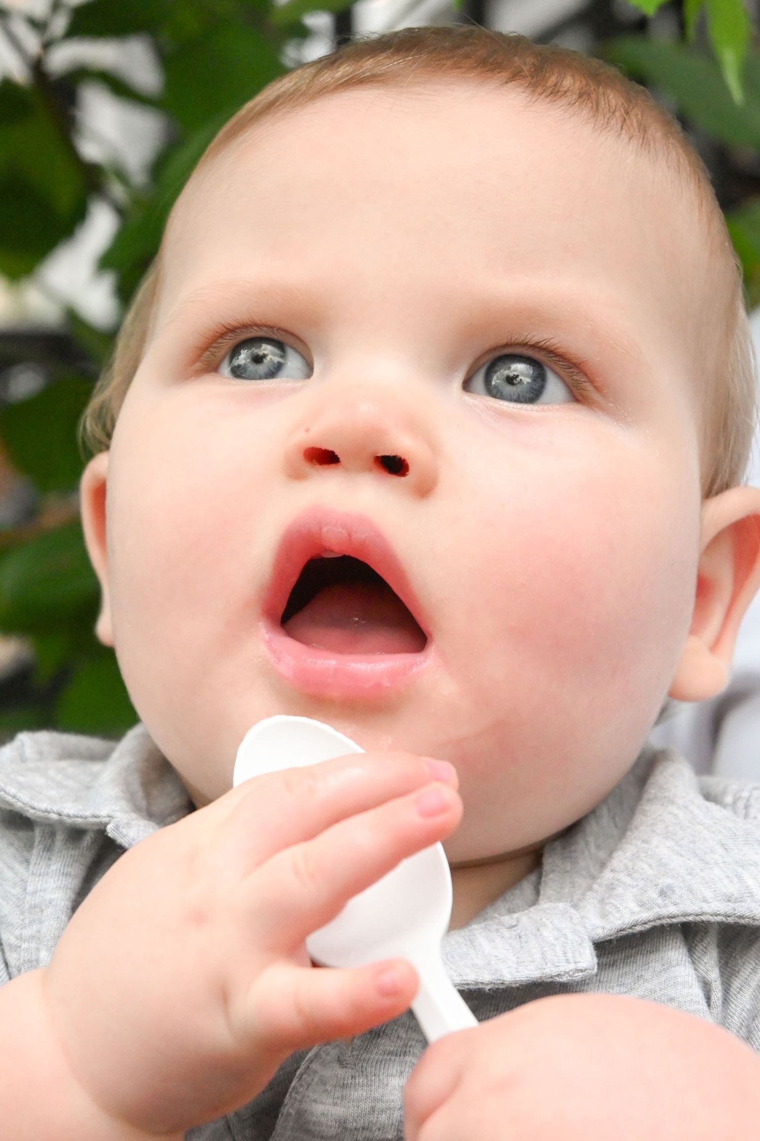 An adorable blue-eyed baby in a gray outfit holding a white spoon with mouth open wide.