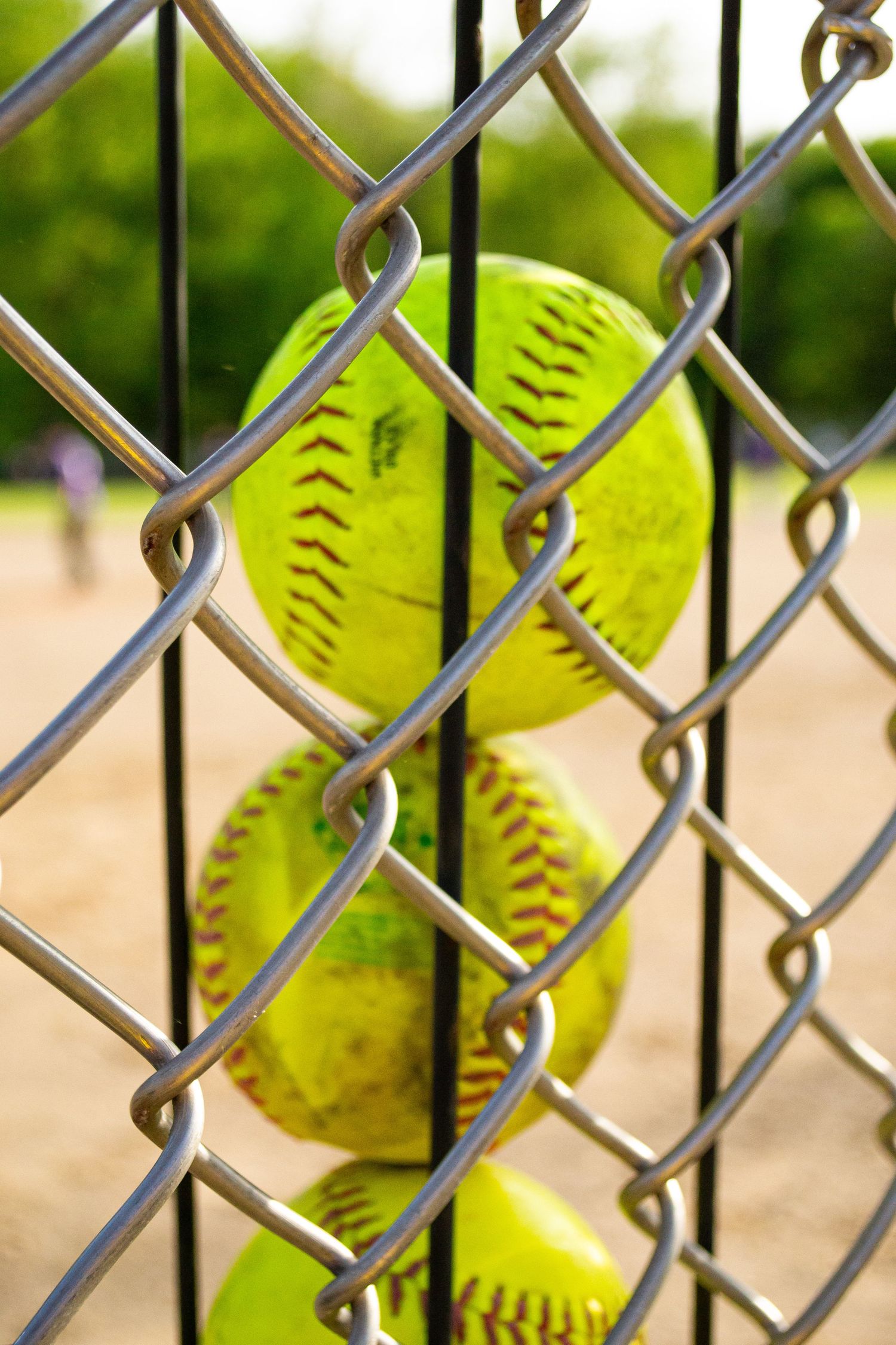 Three yellow softballs with red stitching pressed against a chain-link fence at a baseball field.