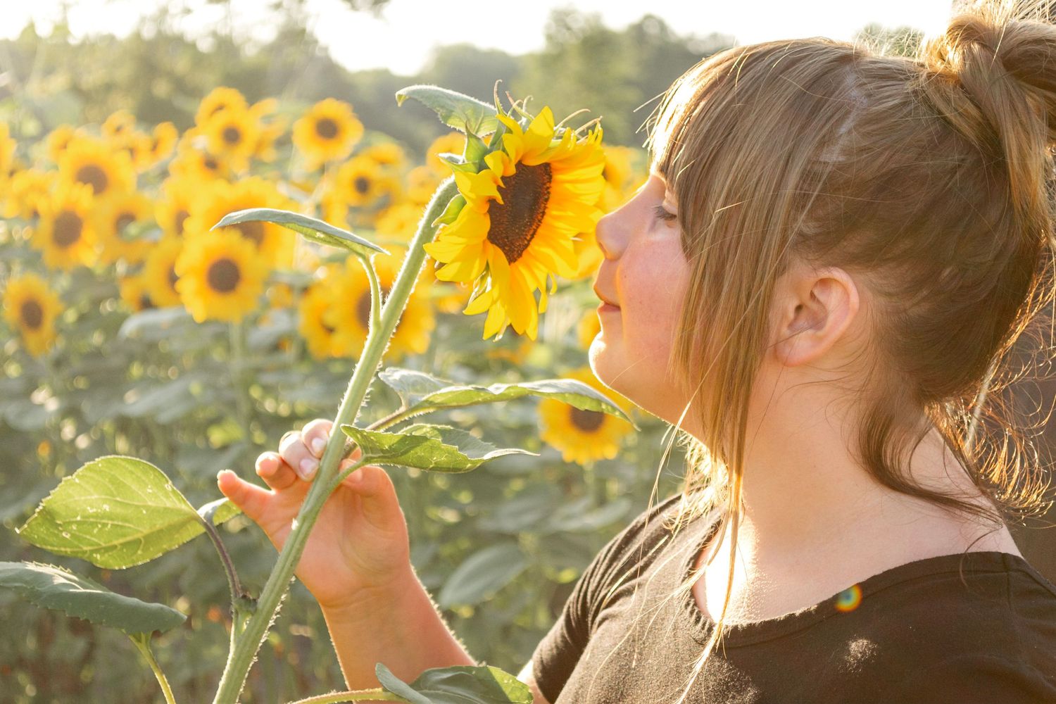Young woman smelling a sunflower in a vibrant sunflower field on a sunny day.