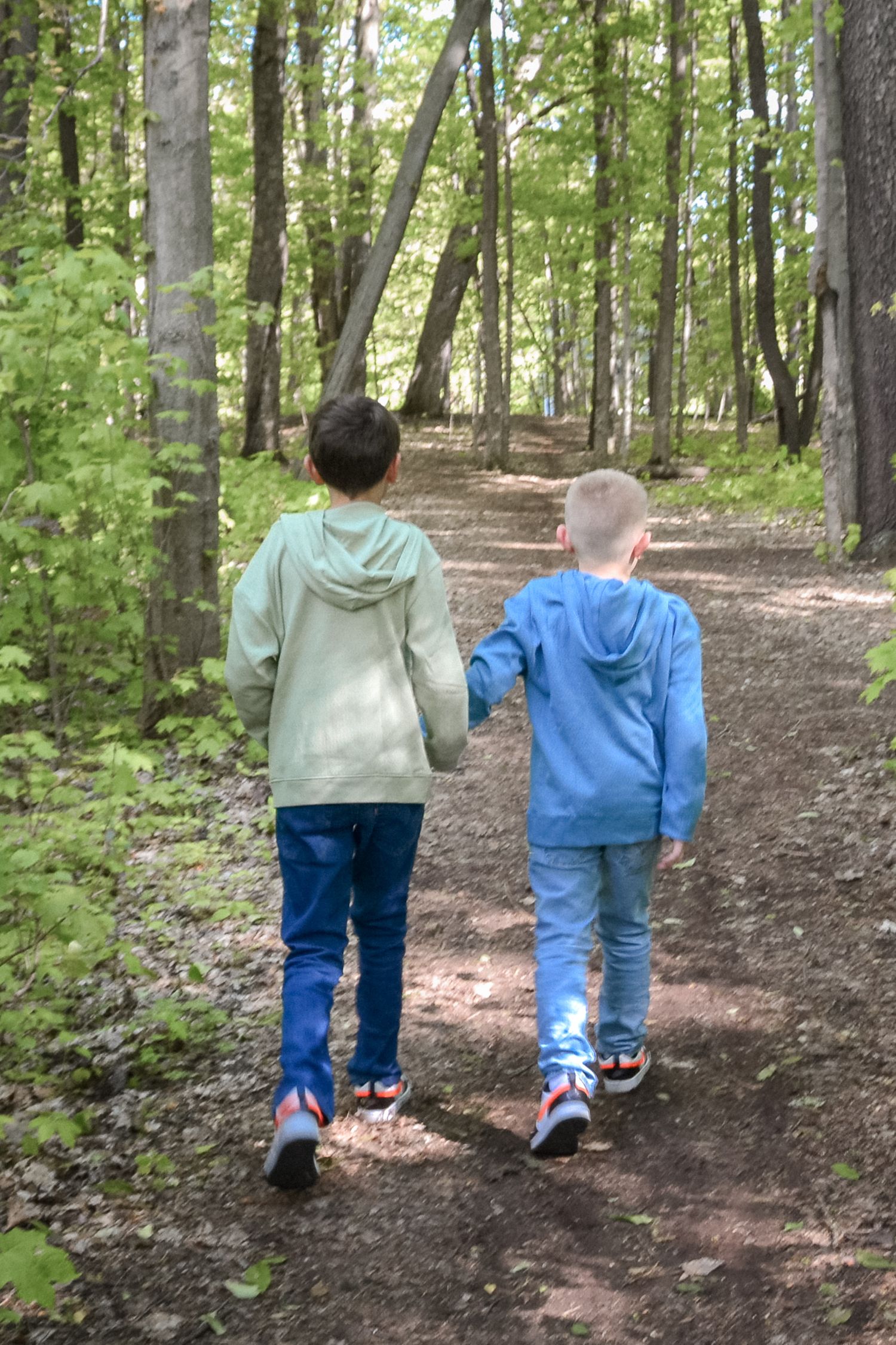 Two boys holding hands while walking on a forest trail surrounded by green trees.