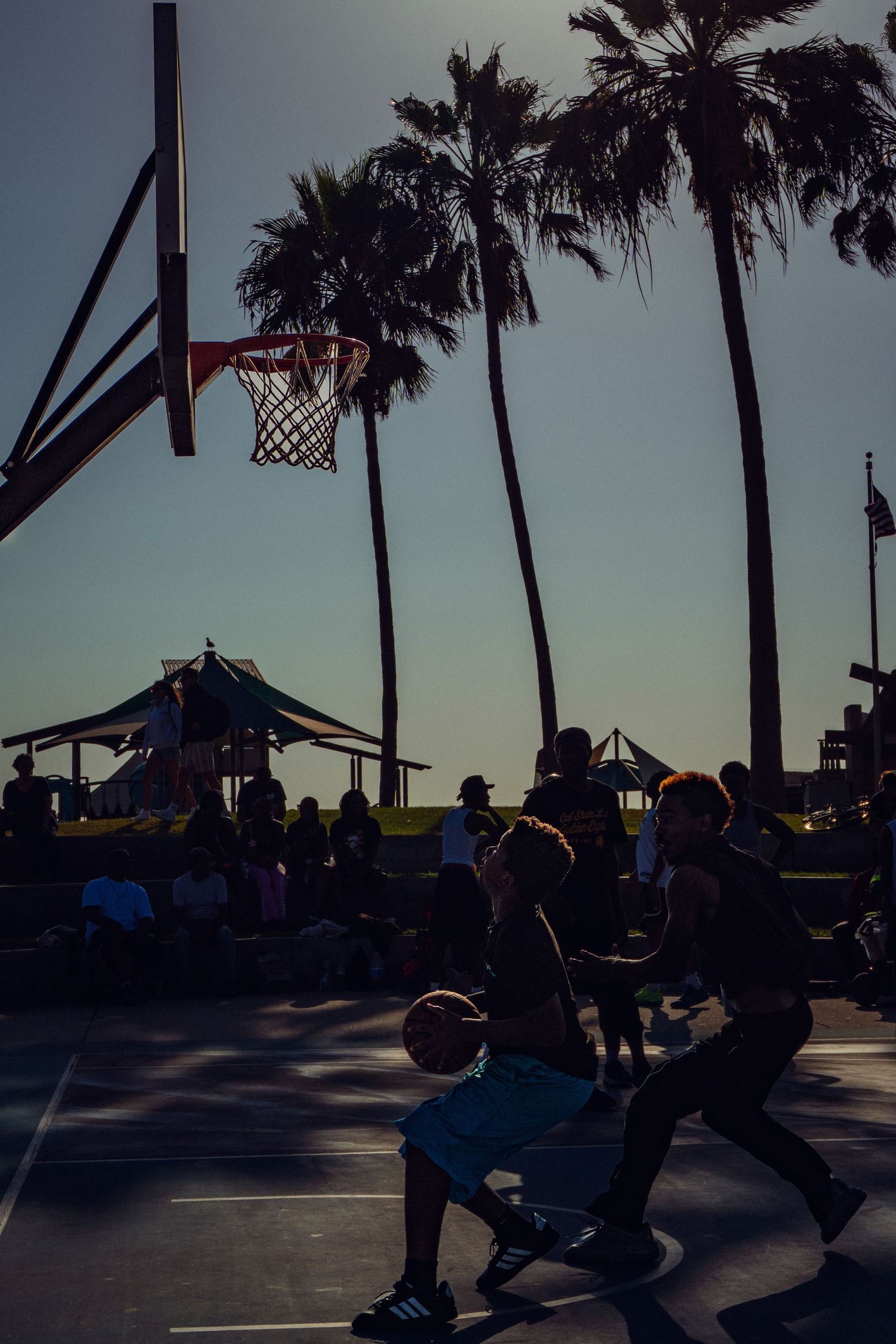 Players compete in an outdoor basketball game at Venice Beach with palm trees silhouetted against a clear sky.