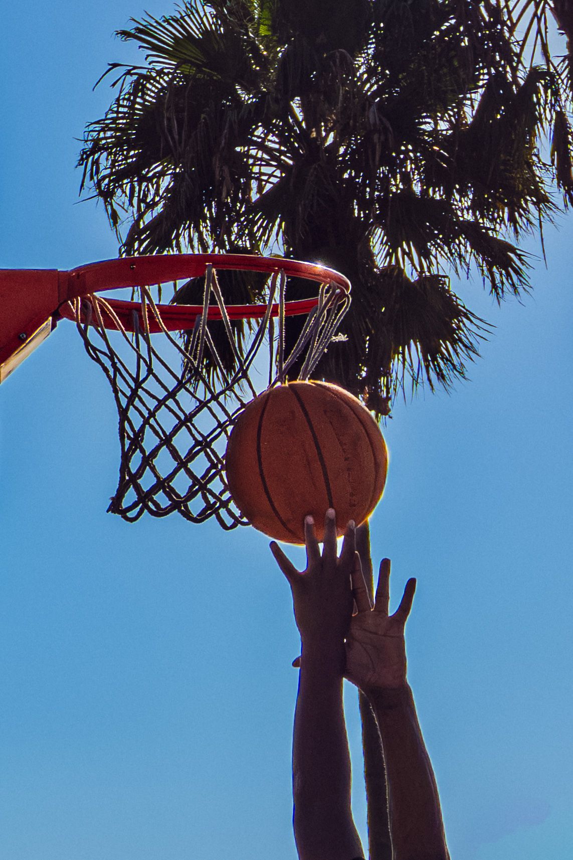 Hands reaching up to shoot a basketball into a red hoop outdoors with a palm tree and blue sky background.