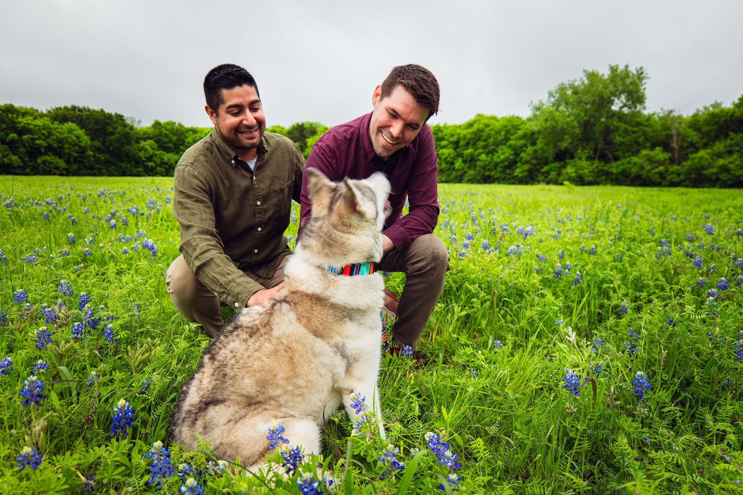 Two men petting a husky dog in a field of bluebonnet wildflowers on a cloudy day.