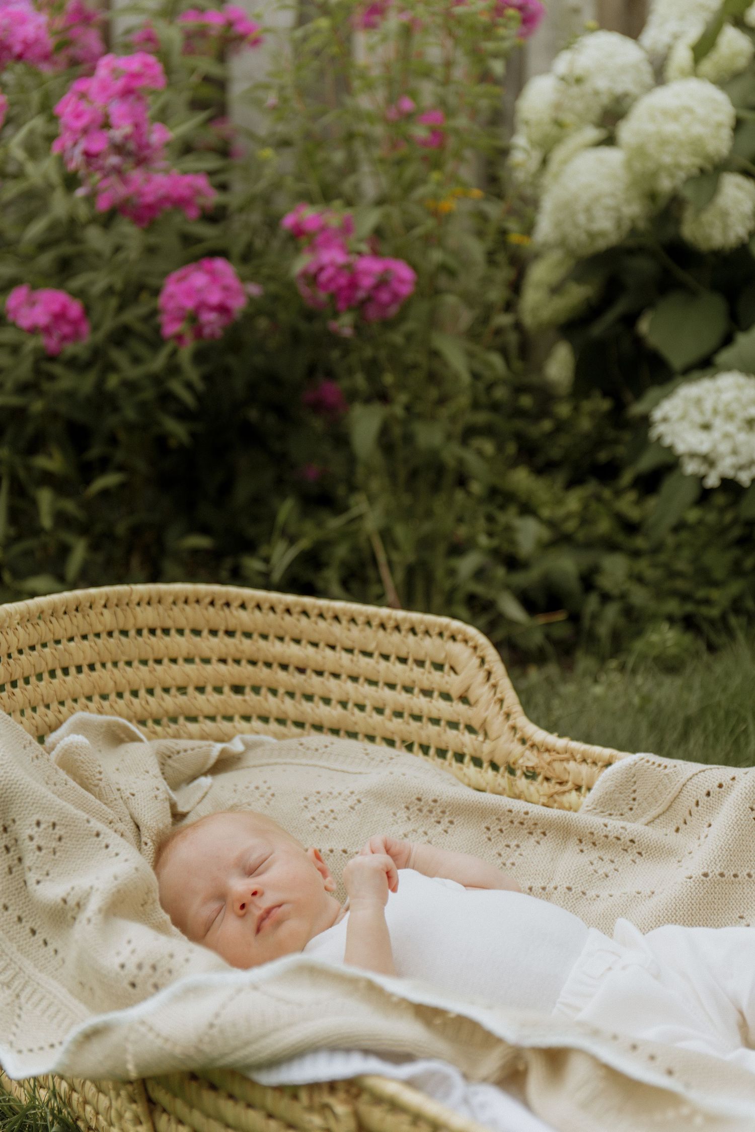 Kawartha Lakes Newborn Photography Session.
Outdoor photo of newborn baby girl in moses basket in backyard garden