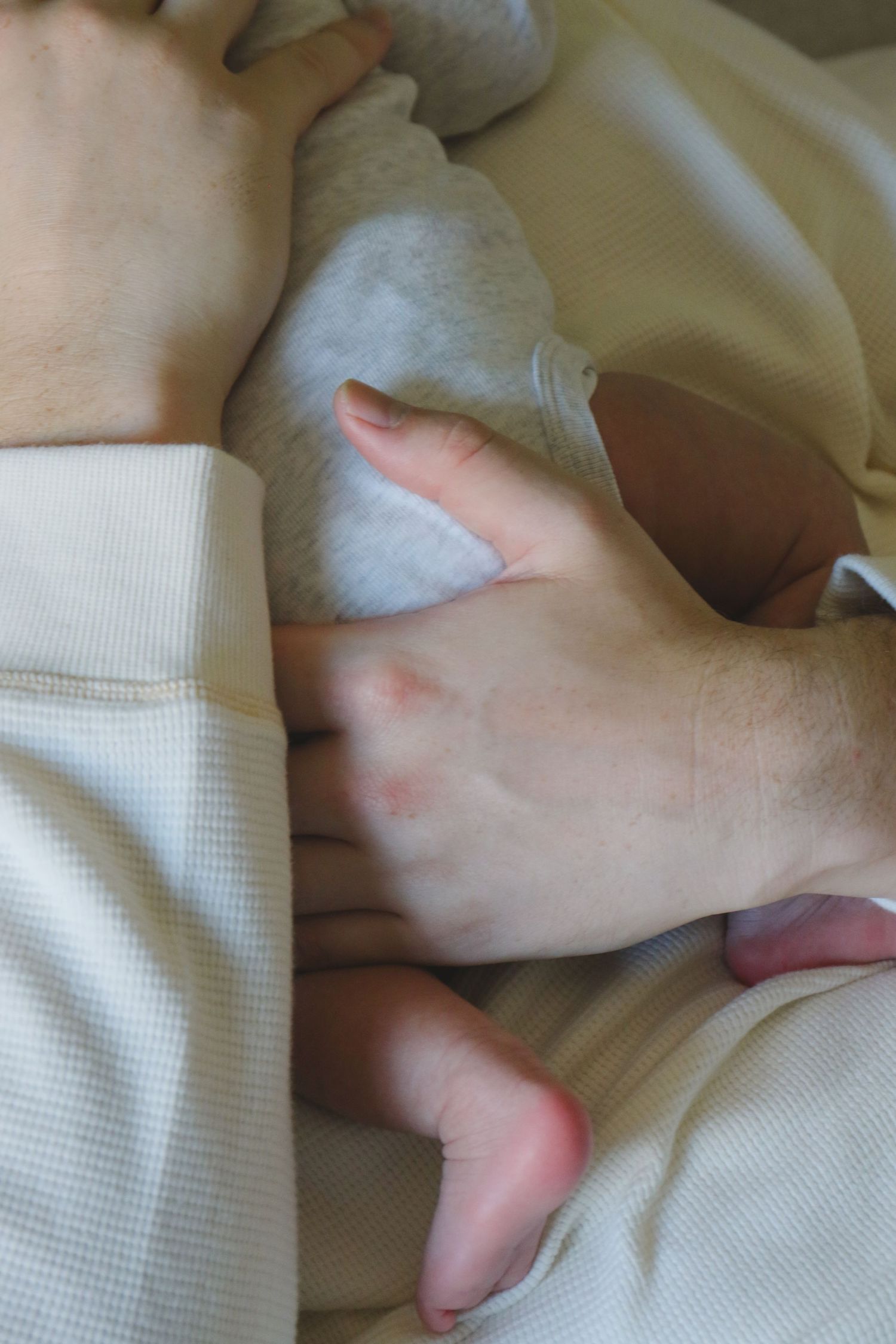 Kawartha Lakes Newborn Photography Session.
Close up detail photo of dad holding baby girl newborn daughter