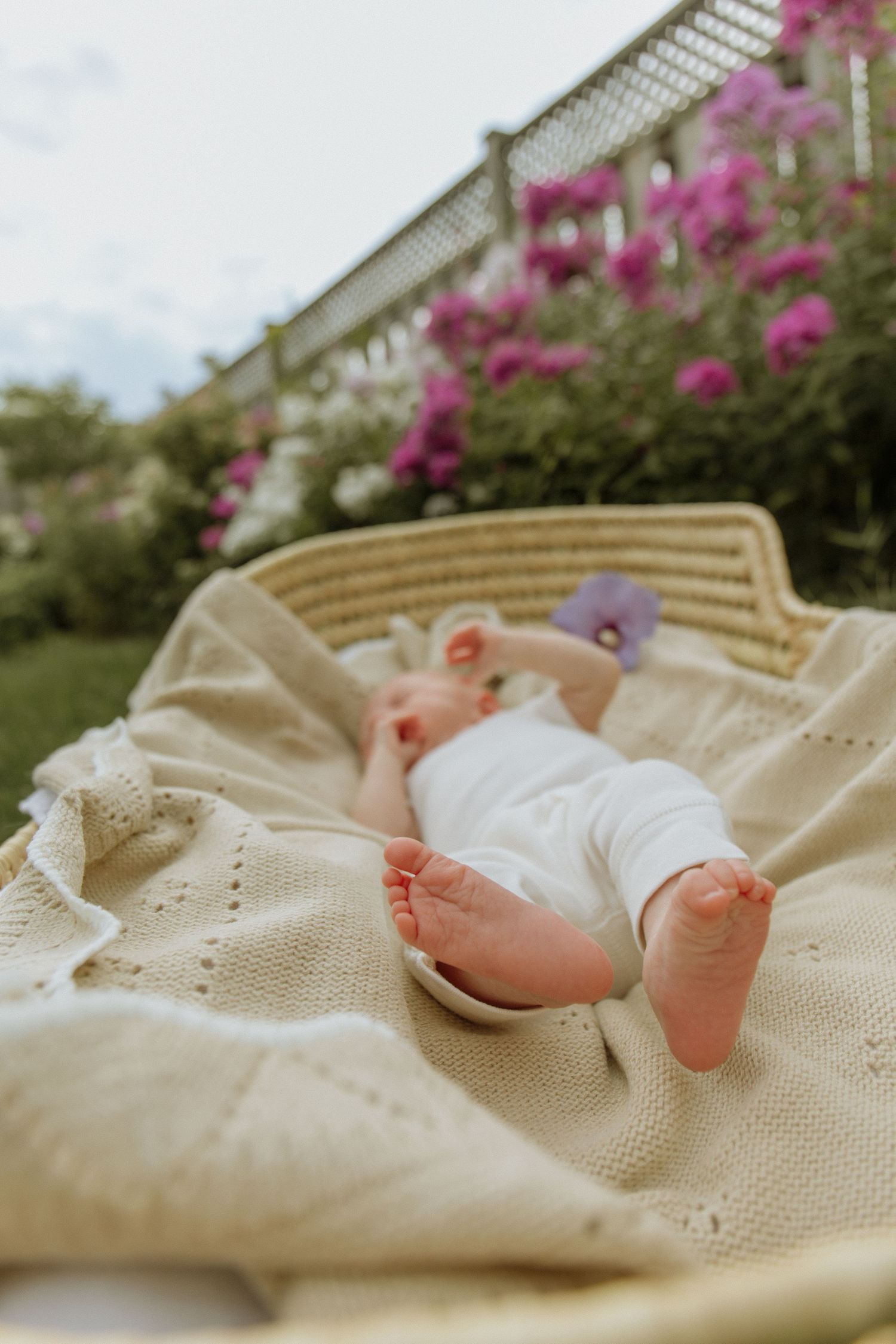 Kawartha Lakes Newborn Photography Session.
Outdoor photo of newborn baby girl in moses basket in backyard garden