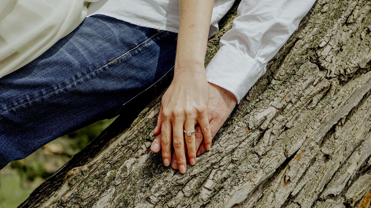 Kawartha Lakes Couples Engagement Photography Session.
Fiancé and fiancée holding hands sitting in a tree together showing off ring