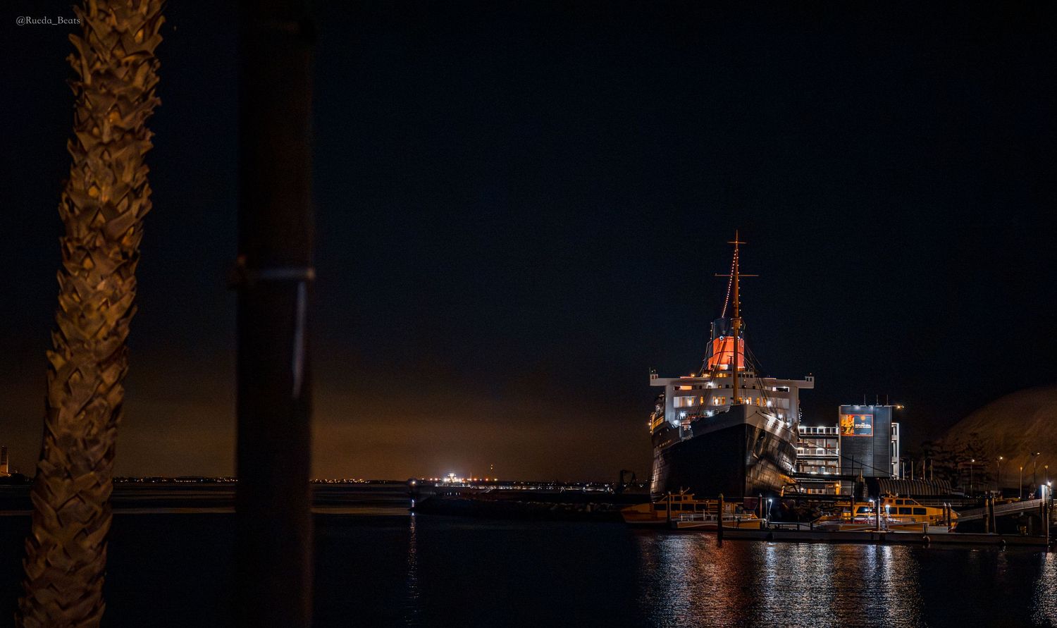 Large cruise ship docked at a harbor at night, illuminated by lights reflecting on calm water with a palm tree in the foreground.