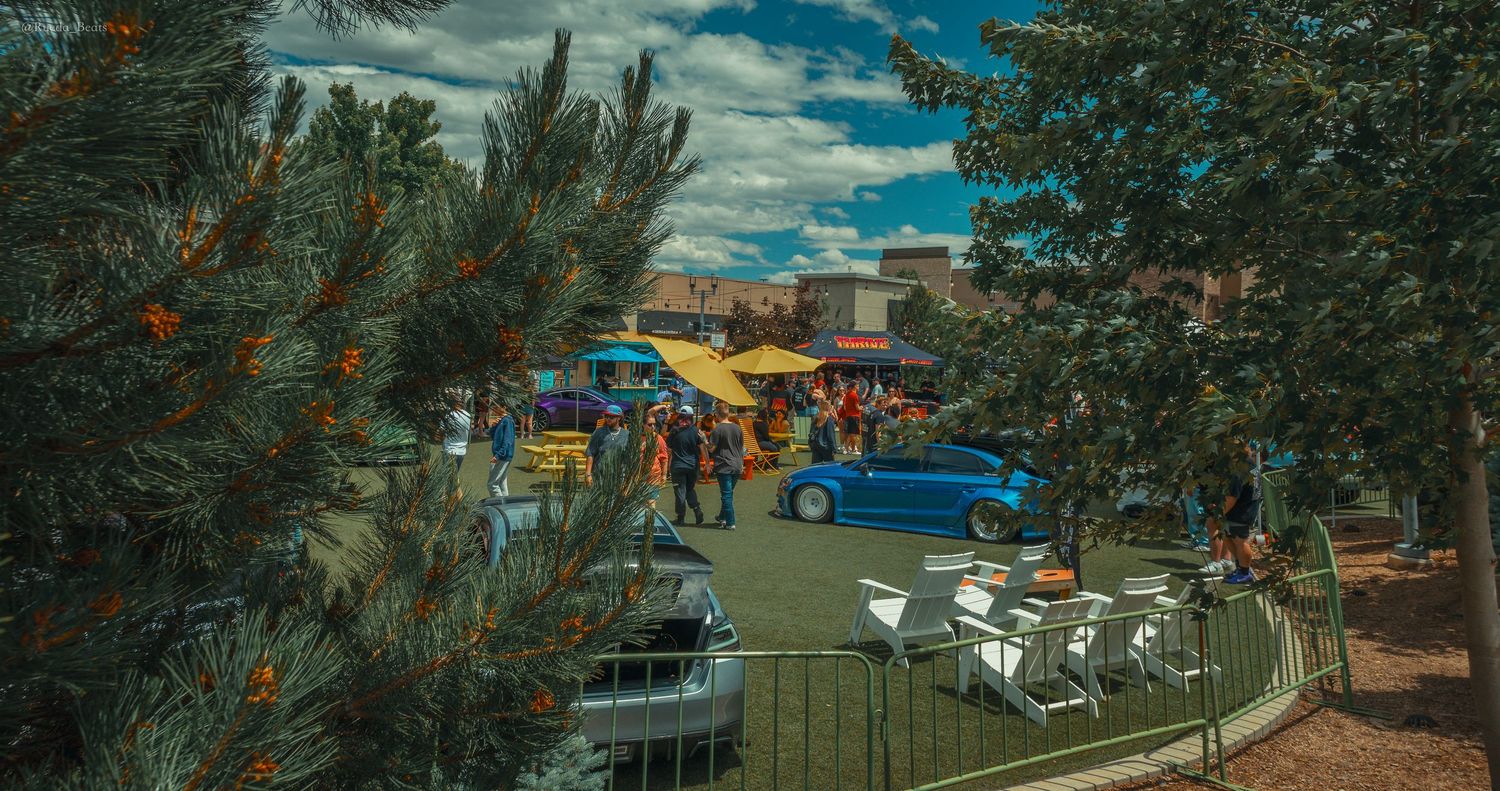 Colorful outdoor car meet event viewed through pine trees on a sunny day.