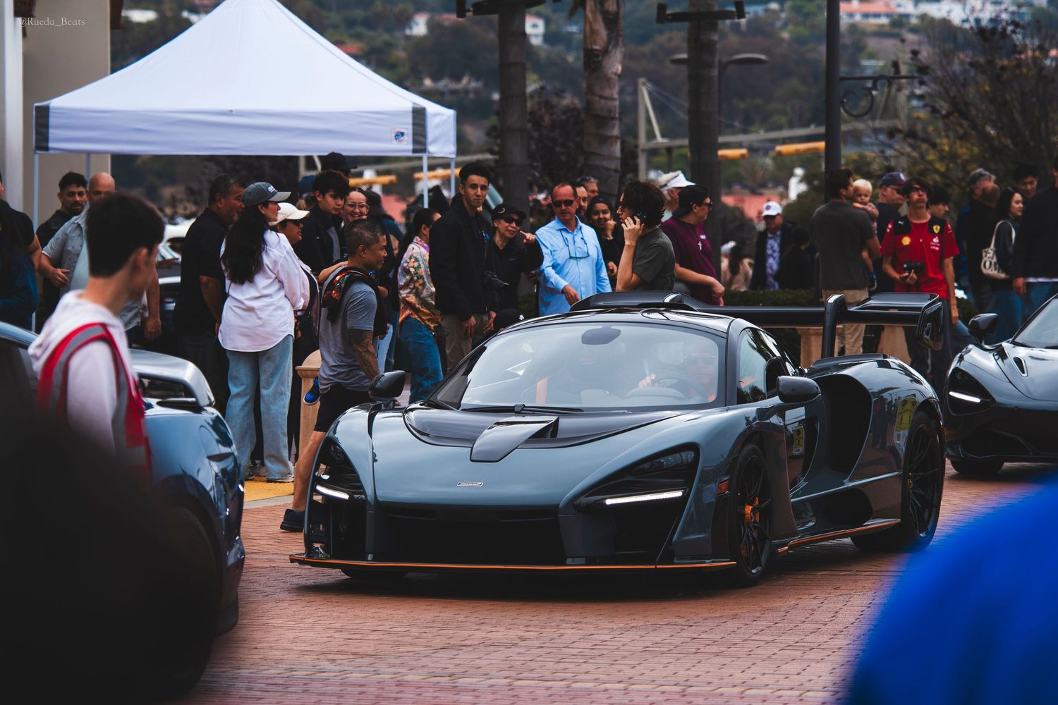 Senna in the wild