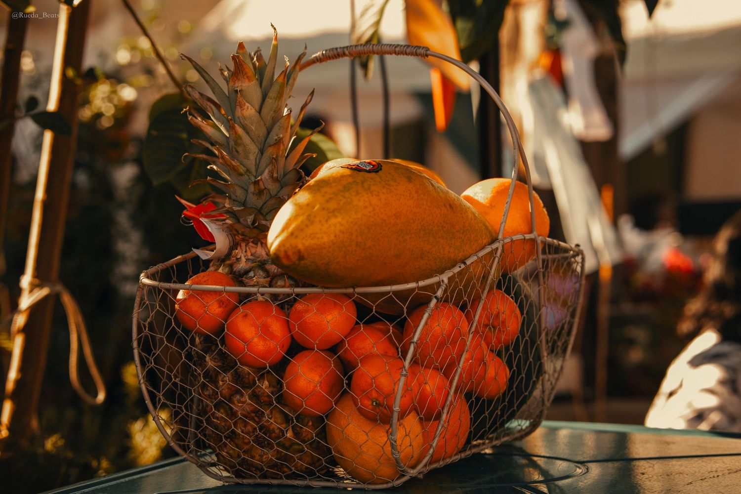 Wire basket filled with tropical fruits including pineapple, papaya, and oranges in warm golden sunlight.