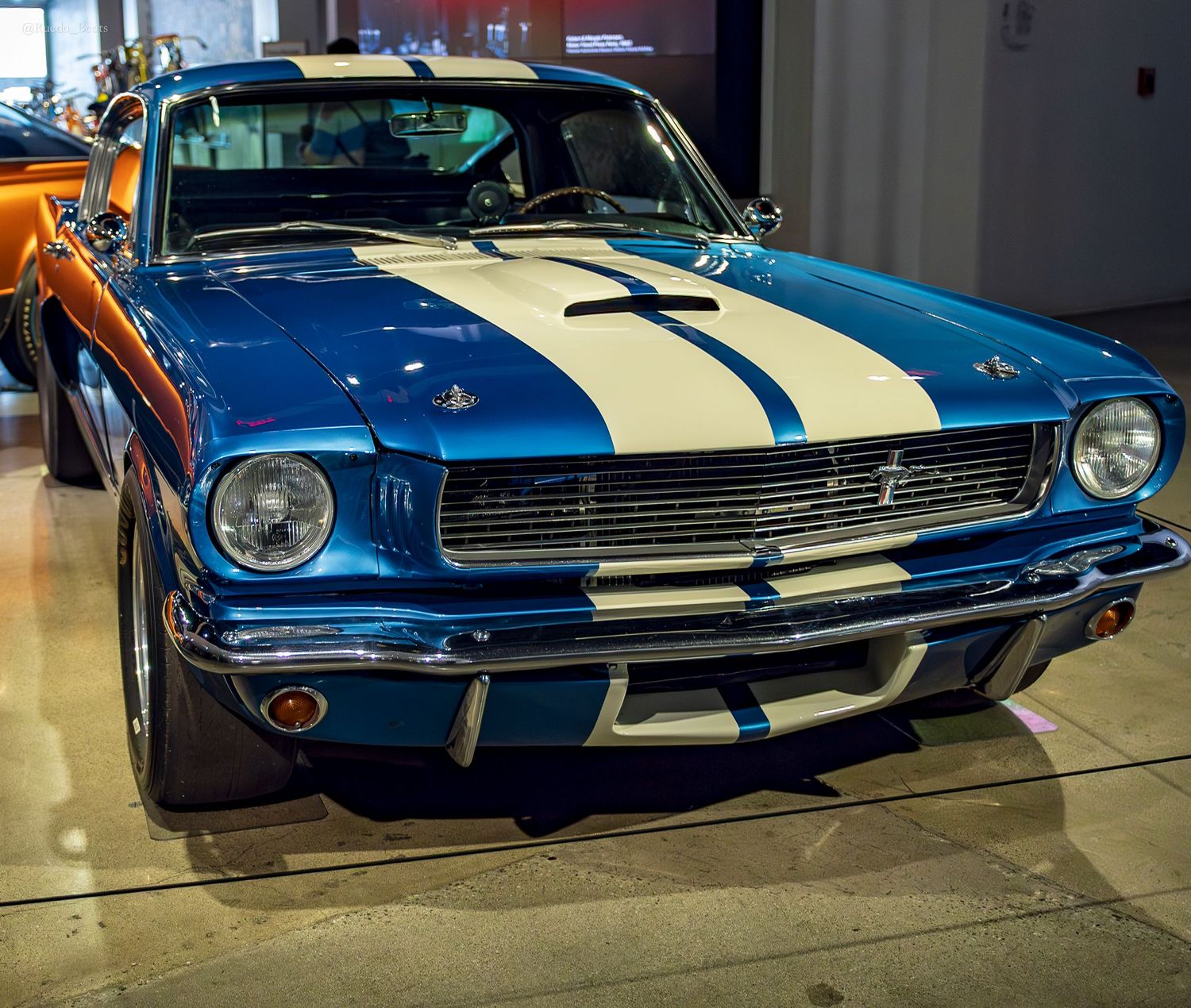 Blue and white striped Ford Mustang Shelby GT350 classic muscle car displayed in a museum showroom.