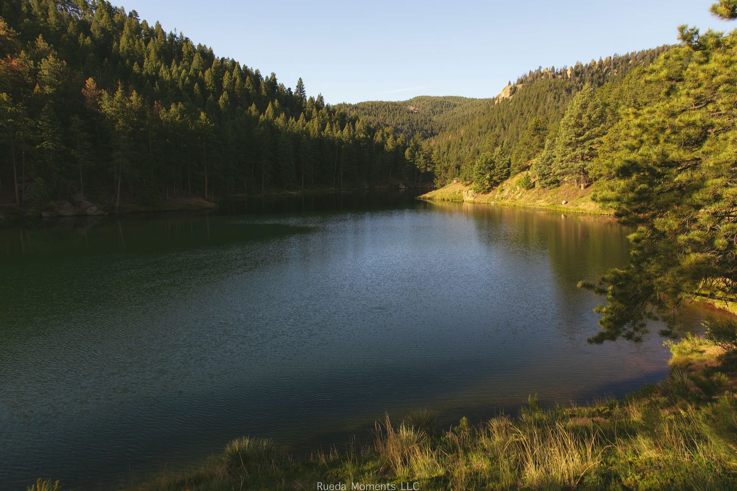 Serene mountain lake surrounded by dense evergreen pine forest in warm evening light.