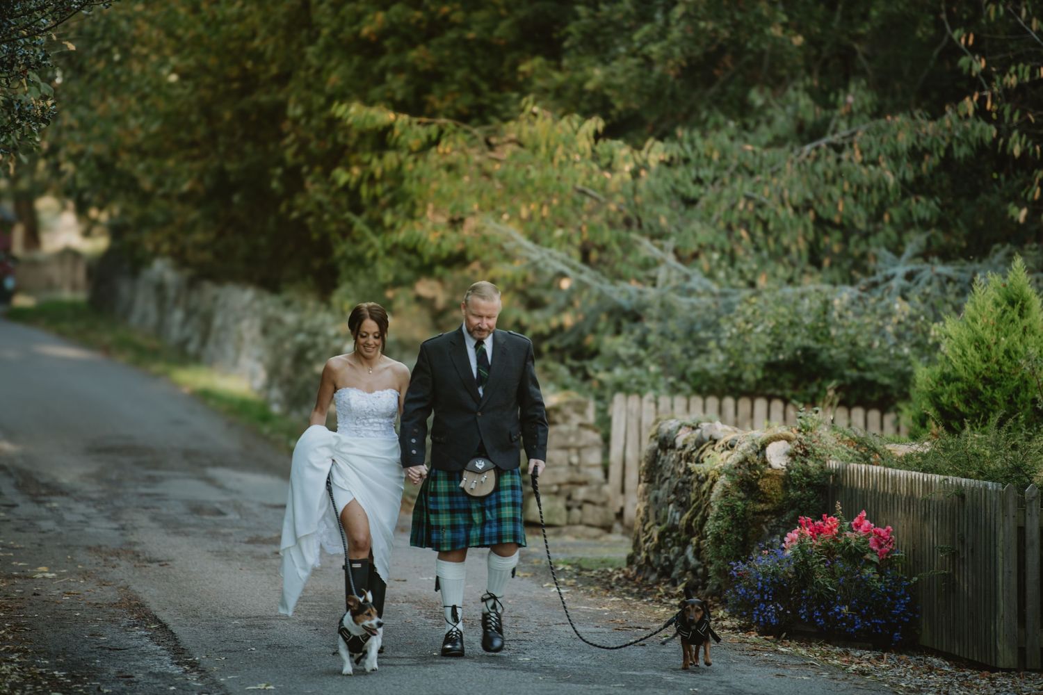 Bride and groom in tartan kilt walk dogs along a quiet country road on their wedding day.