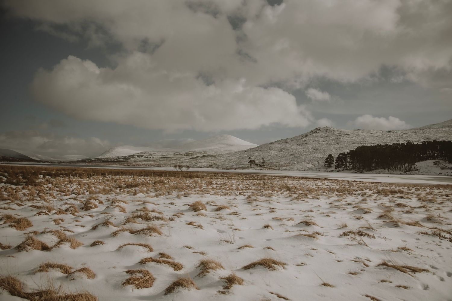 Snow-dusted highland landscape with golden grass, rolling hills, and dramatic cloudy sky in a remote winter wilderness.