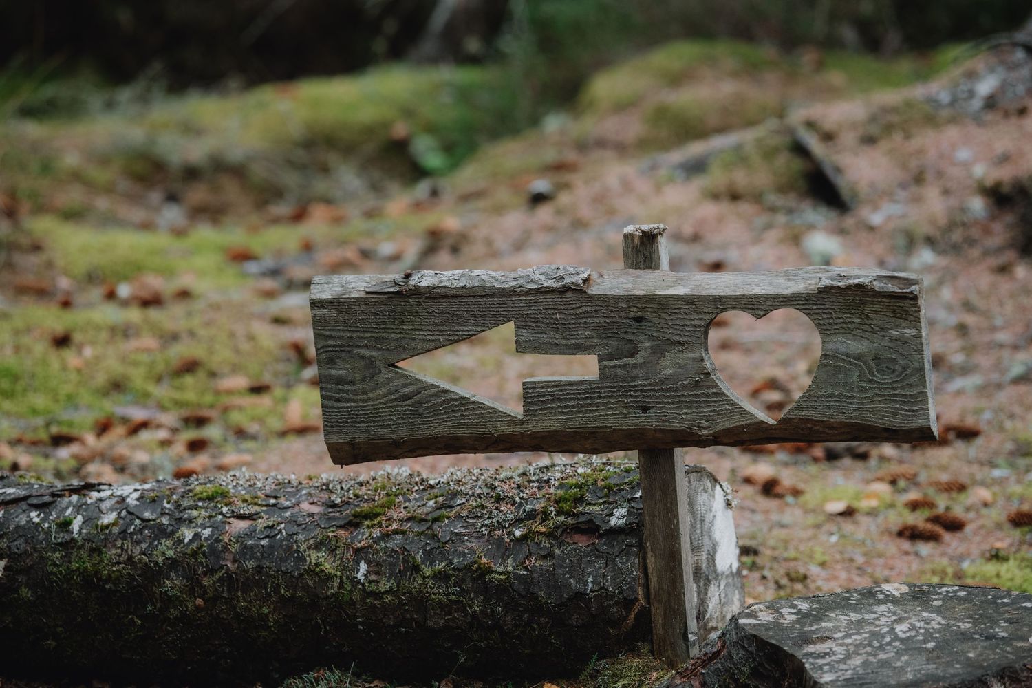 Rustic wooden directional sign with arrow and heart cutout in mossy forest wedding venue.