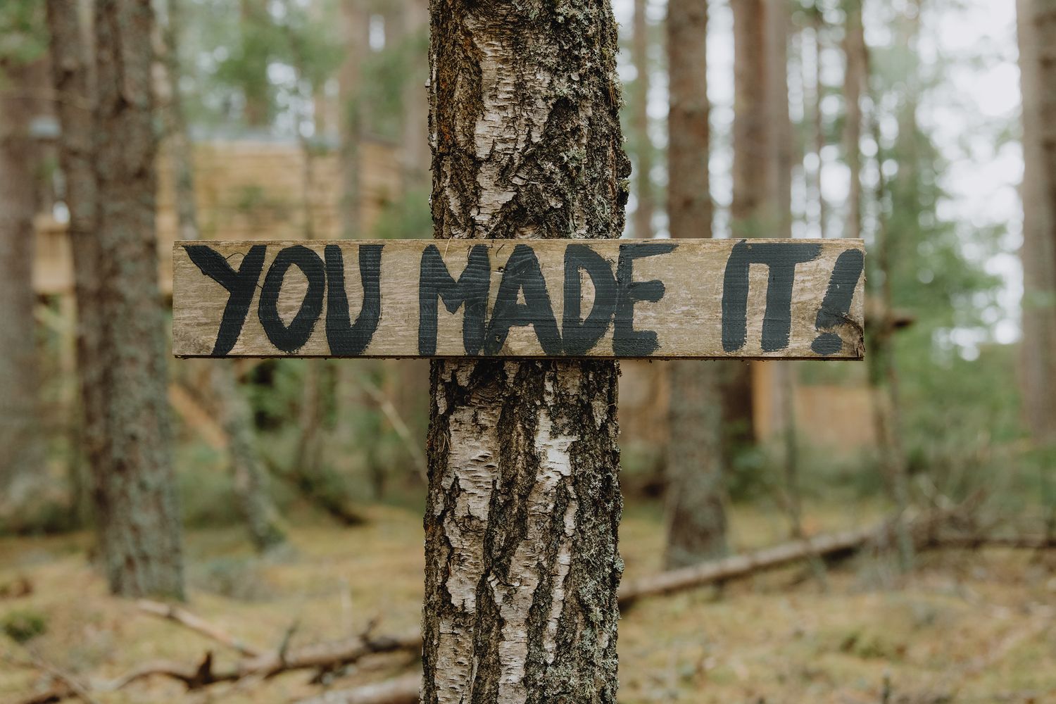 A rustic wooden sign nailed to a forest tree reads You Made It in bold lettering.