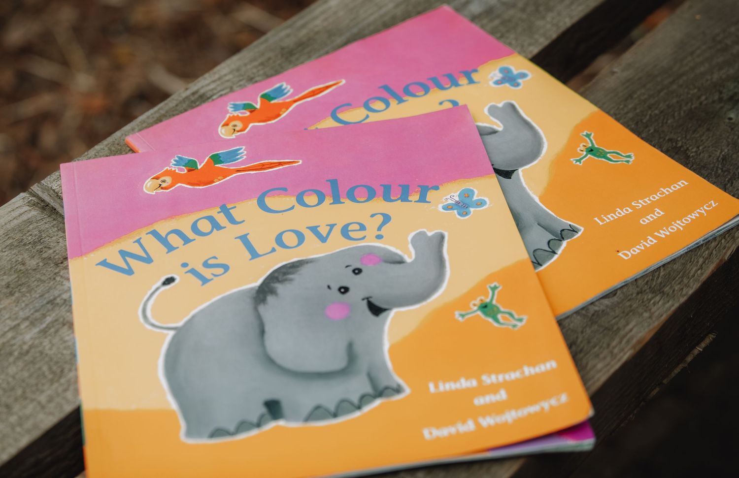 Two copies of colorful childrens book What Colour is Love featuring elephant on wooden bench.