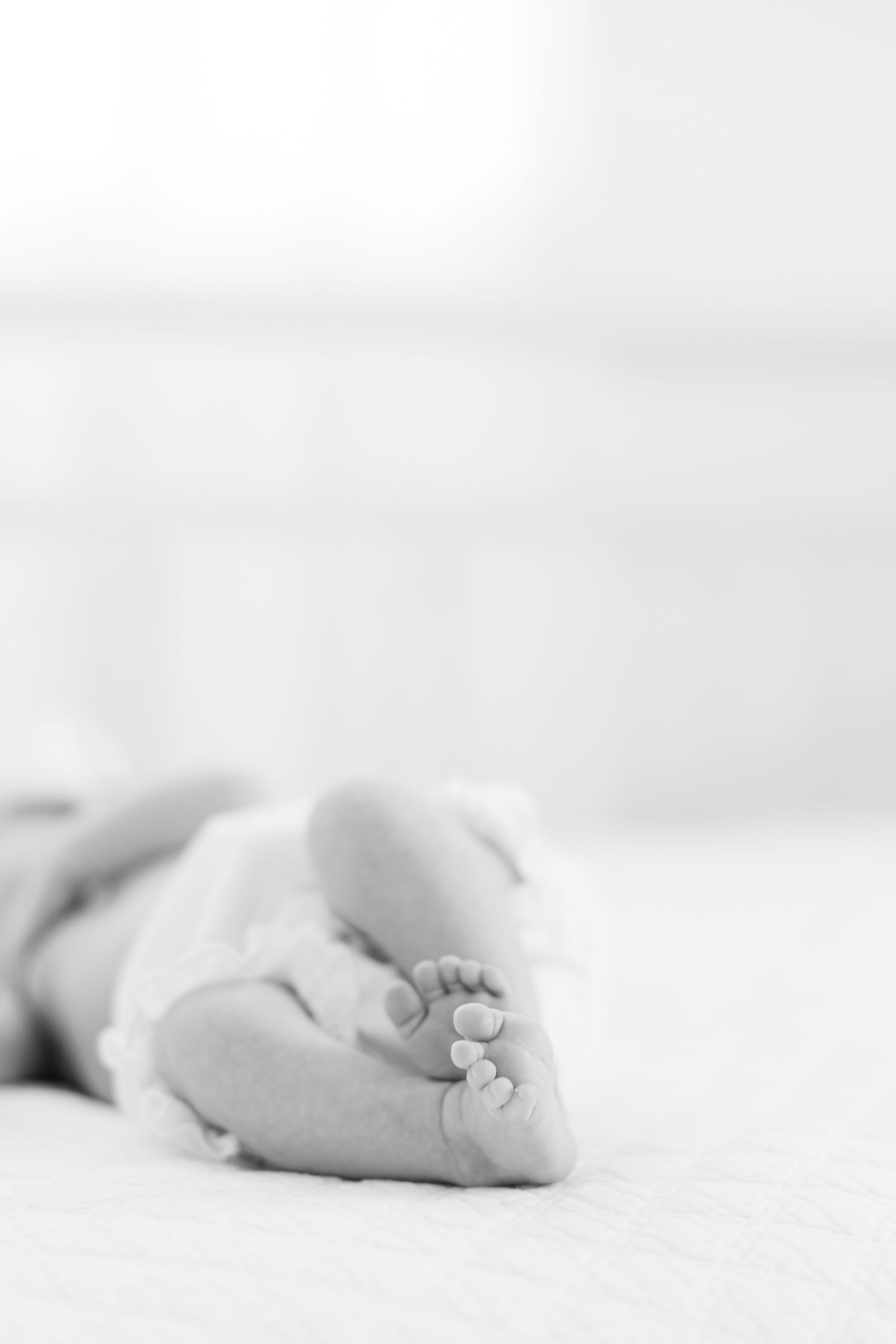 Close-up black and white photo of tiny newborn baby feet resting on a soft white blanket.