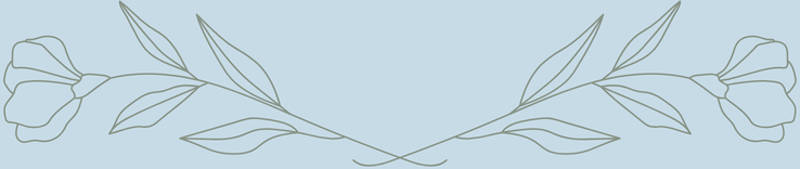 Soft blue symmetrical botanical divider featuring magnolia flowers and leaves line drawing.